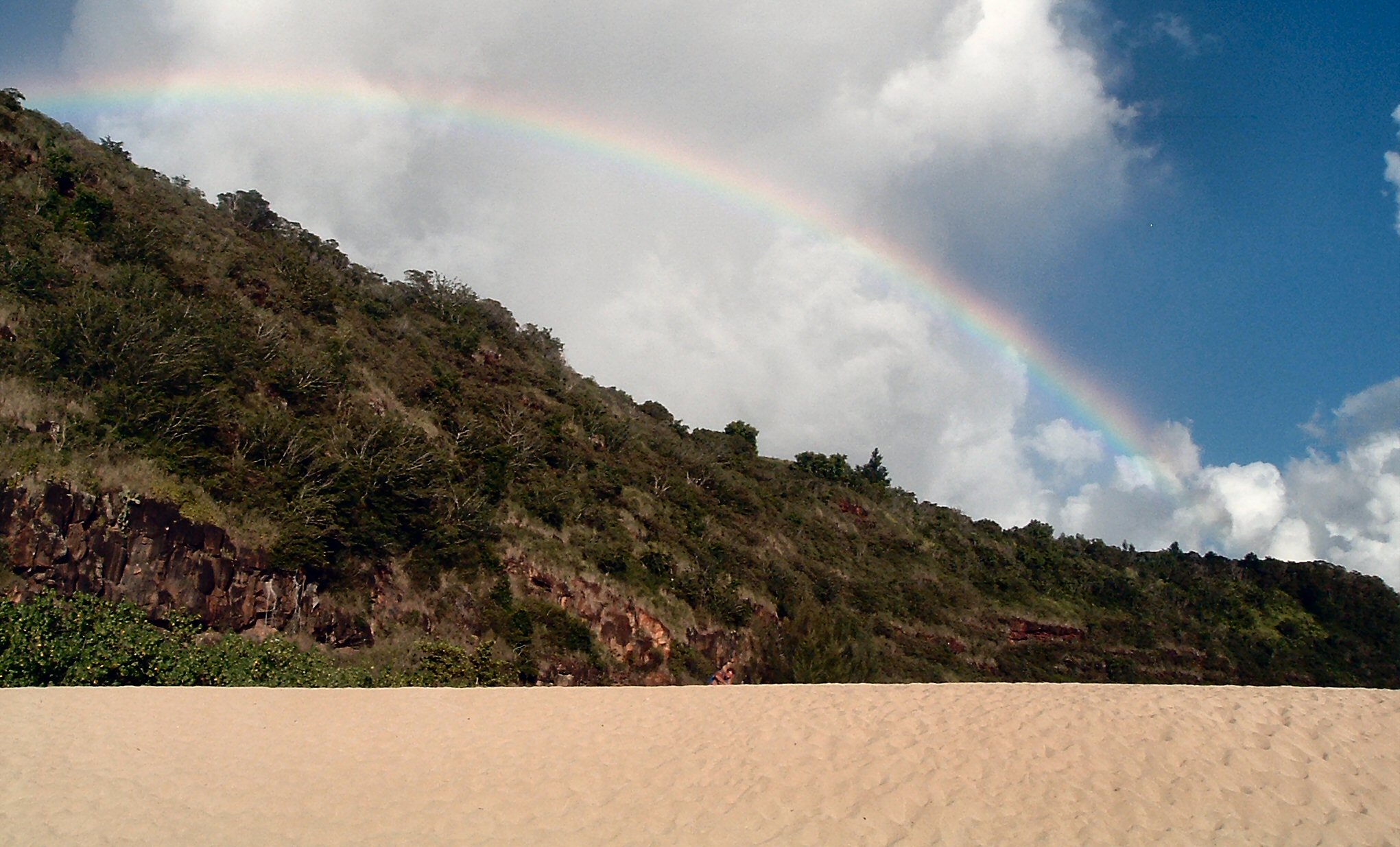 waimea bay beach park rainbow.jpg