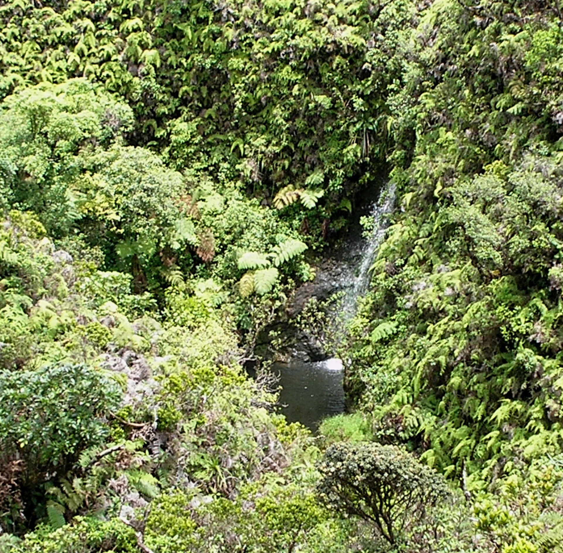 waterfall near cabin.jpg