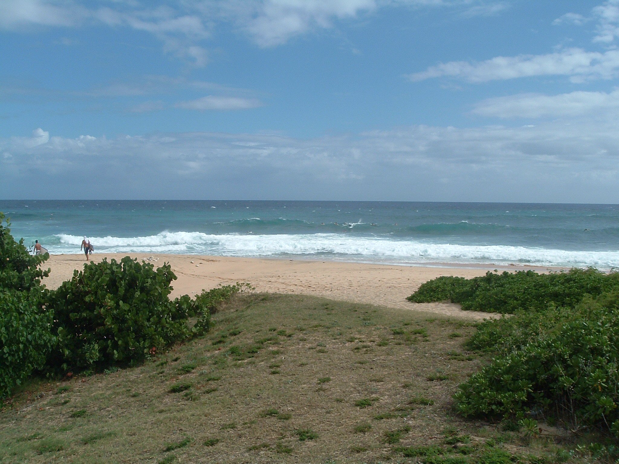 surfers at sandy beach.jpg