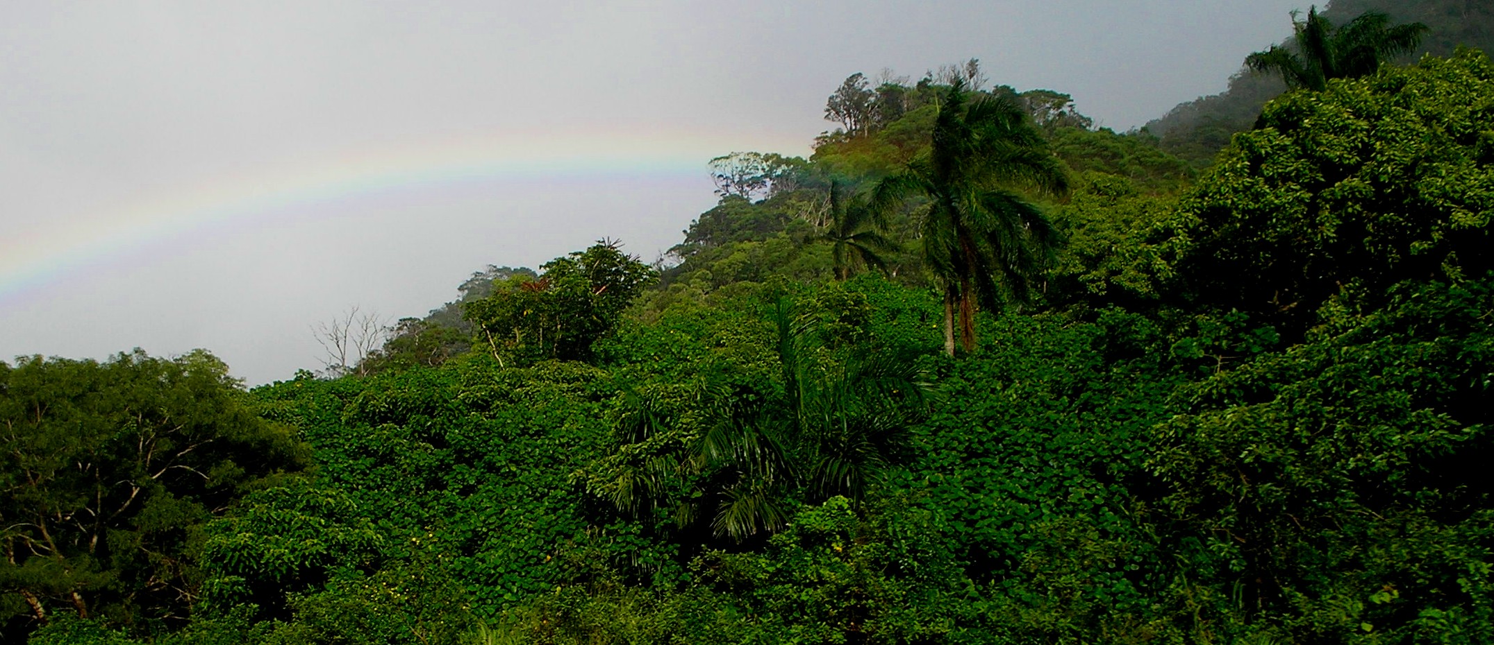 halwa valley rainbow.jpg
