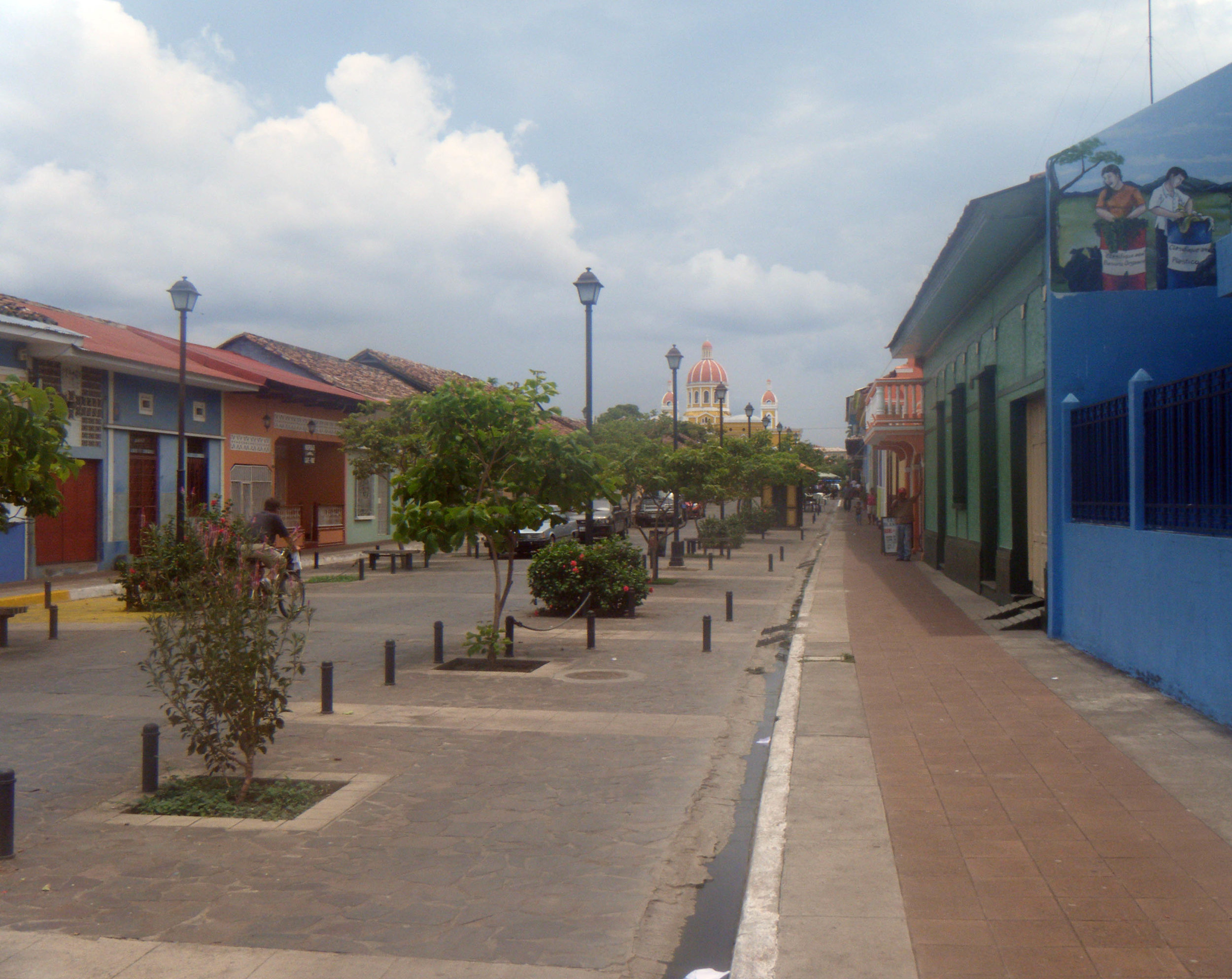 Avenida La Calzada.jpg