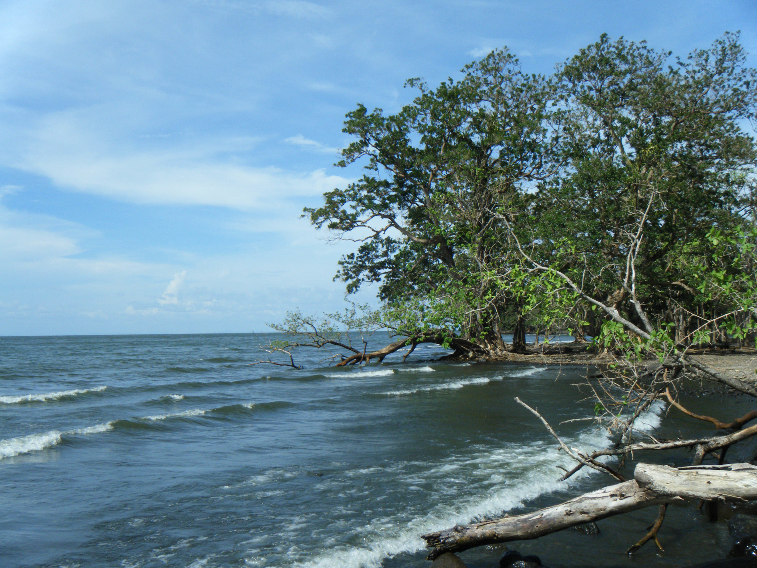 lonely coast of Ometepe.jpg