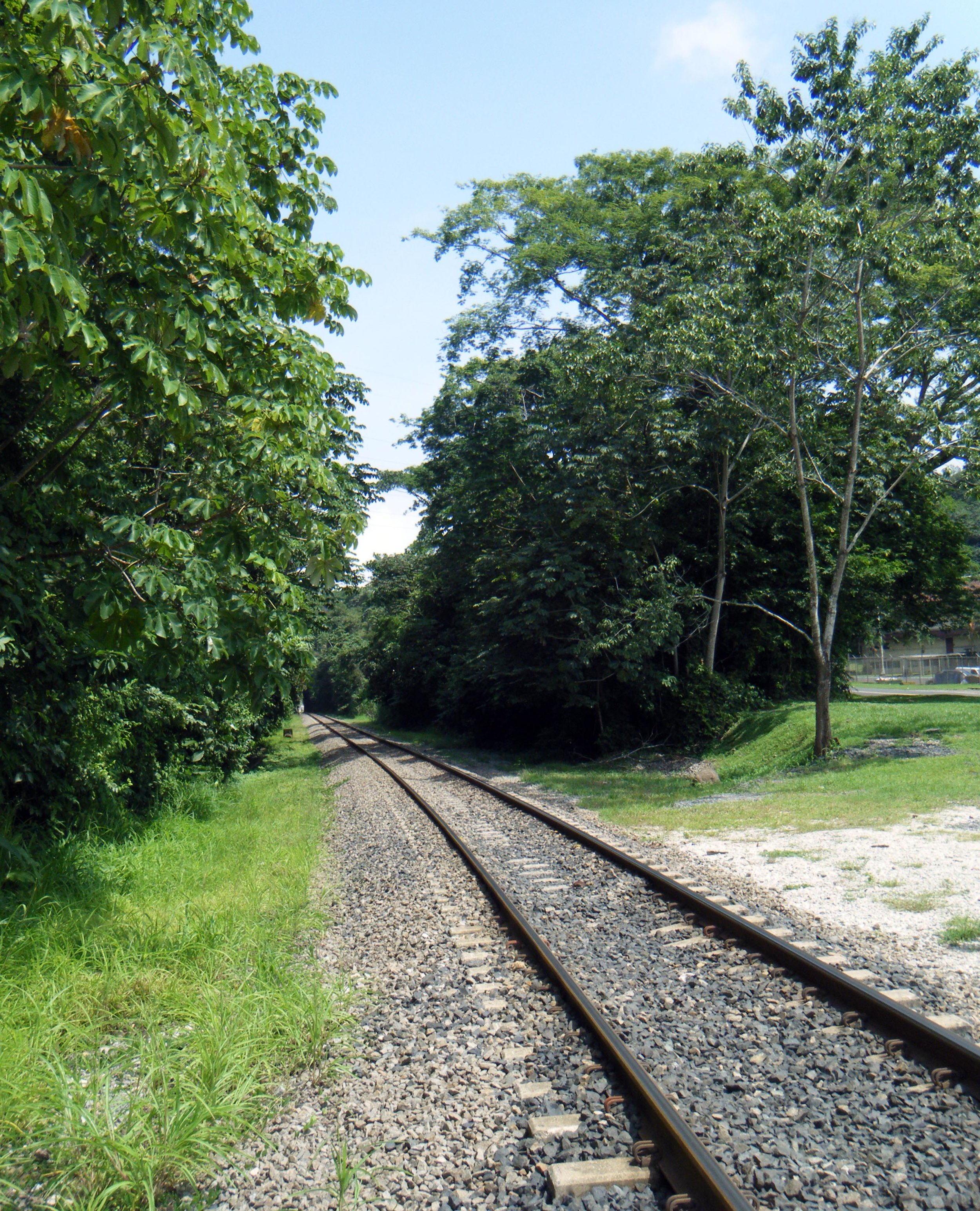 Panama railway.jpg