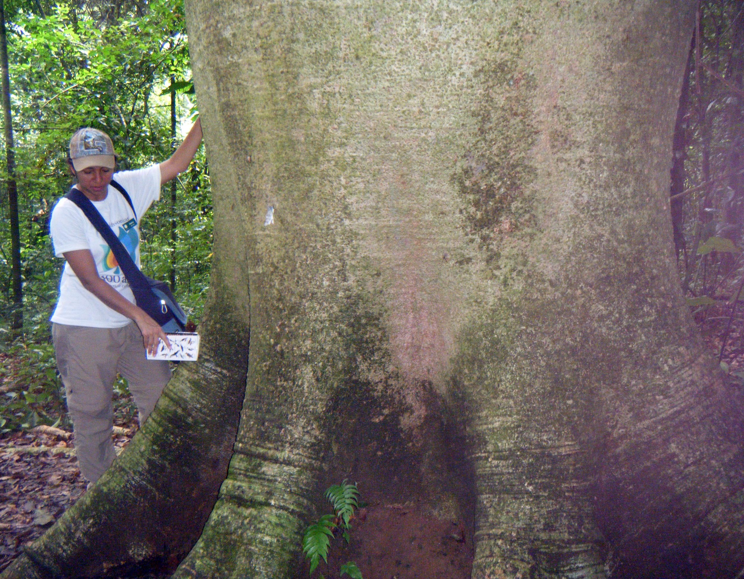 Melva and Elephant leg tree.jpg