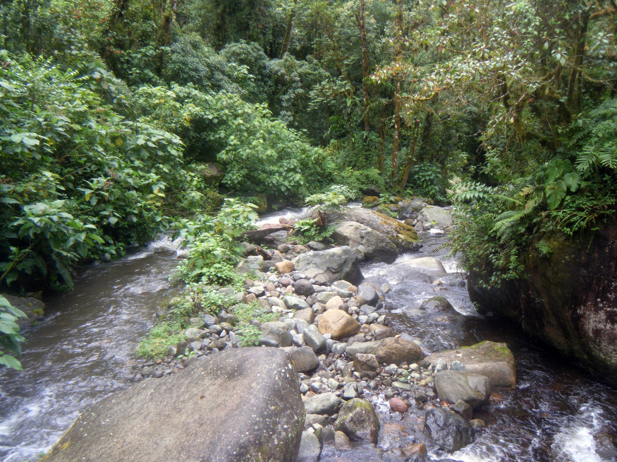 Quetzales trail 7-20-12.jpg