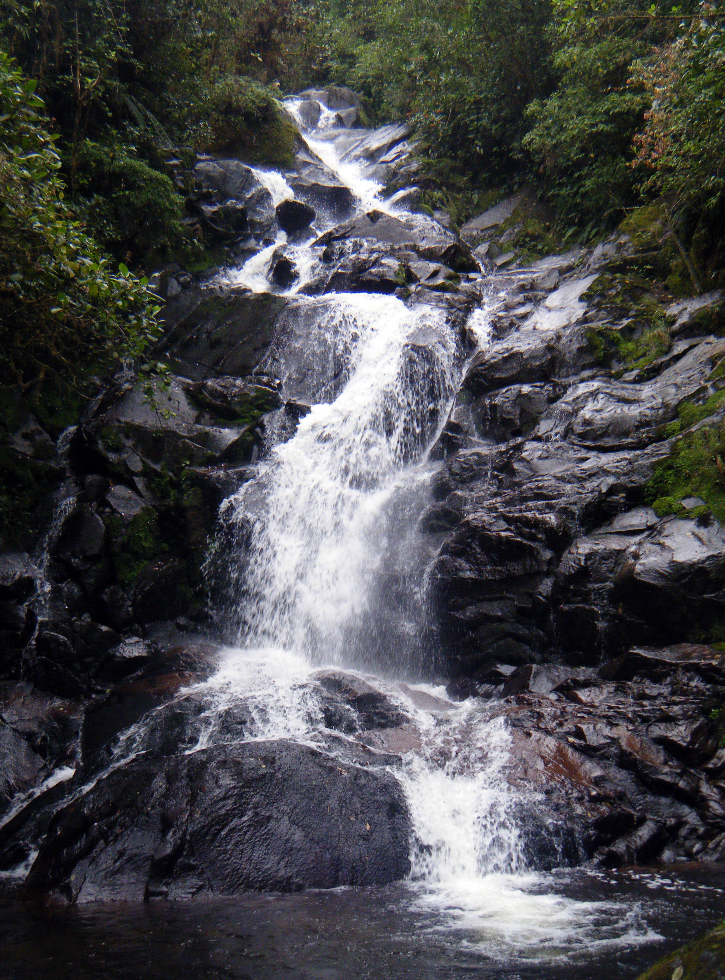the waterfall trail 7-19-12.jpg