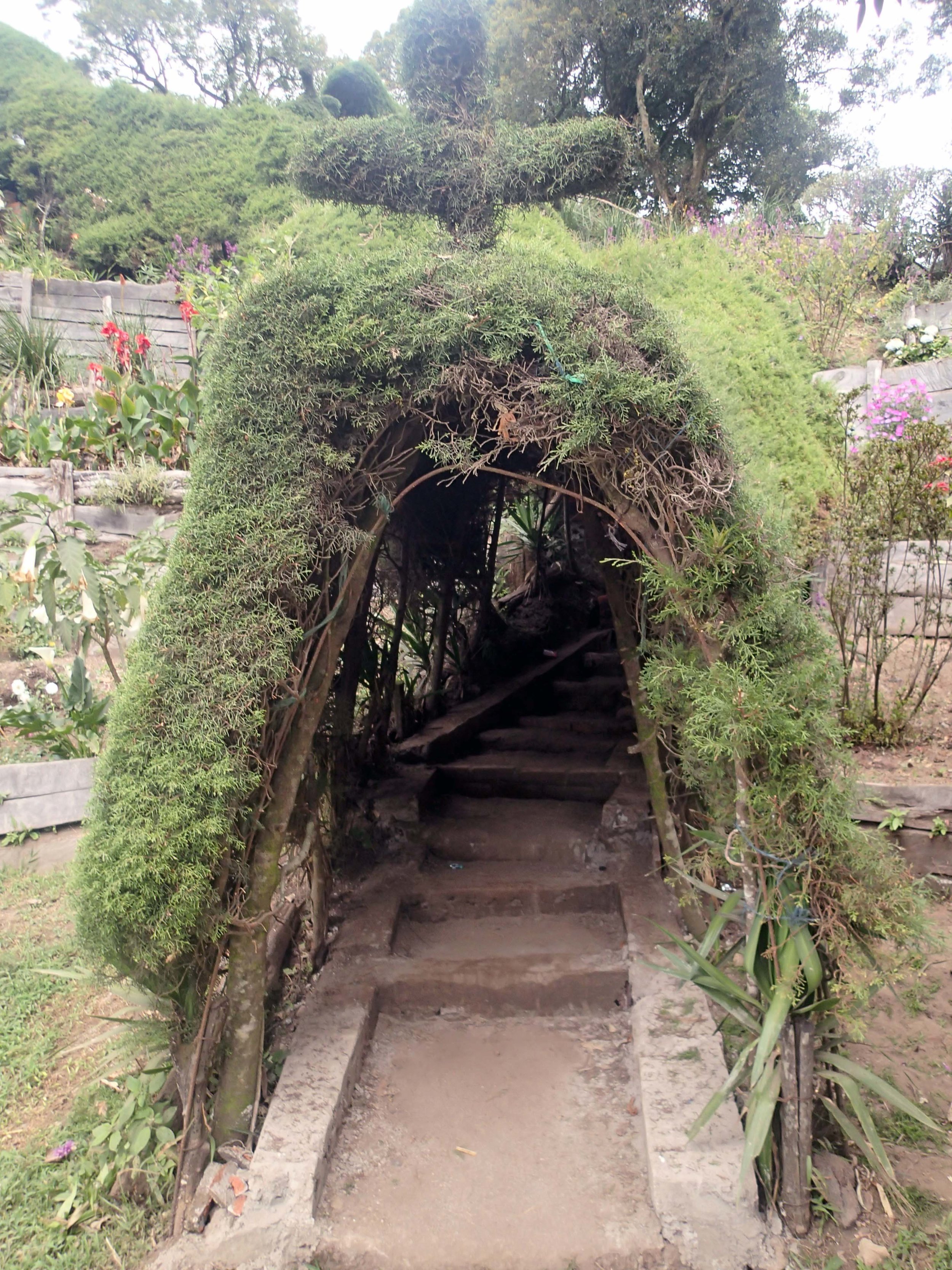 topiary tunnel.jpg