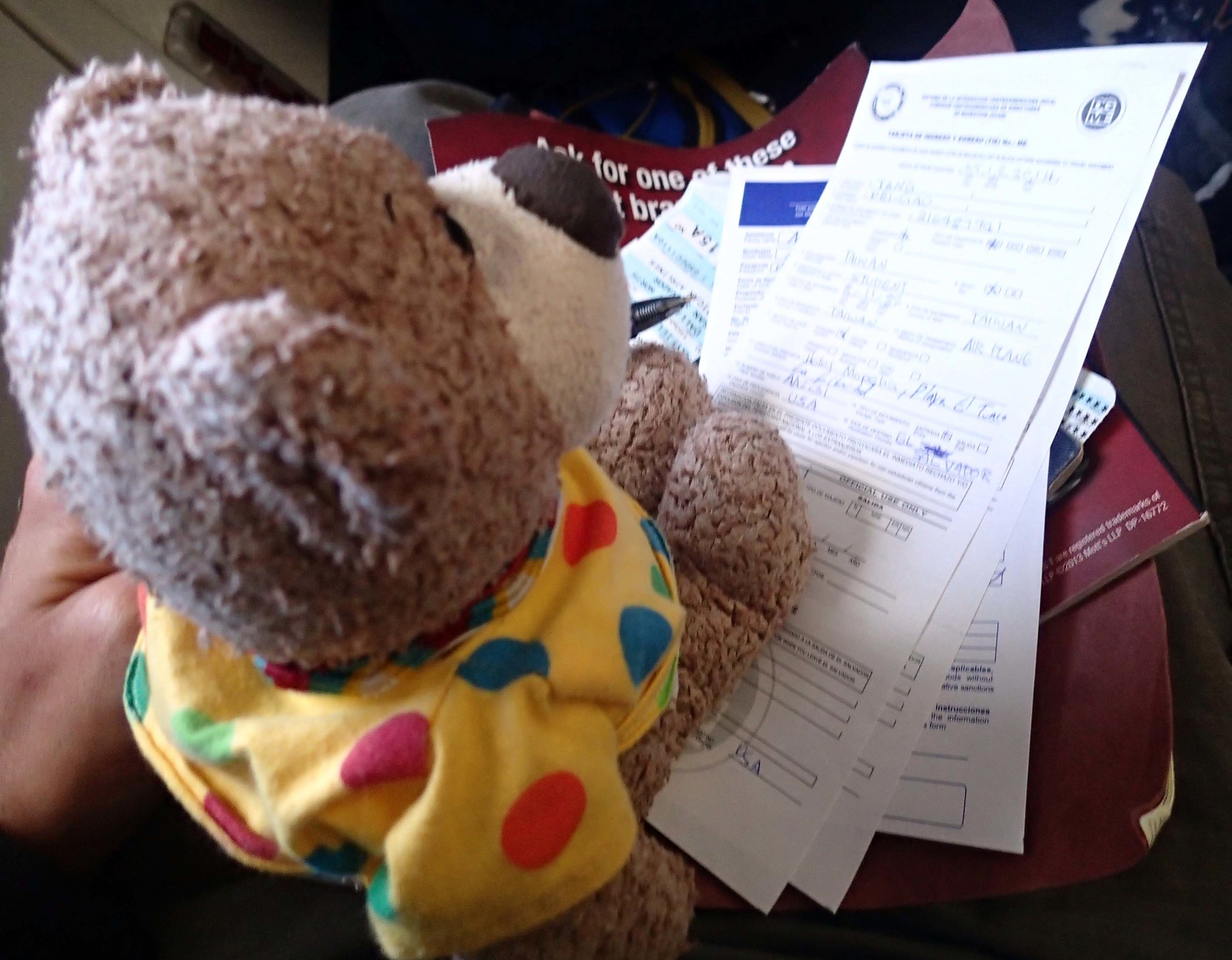 travel bear.jpg