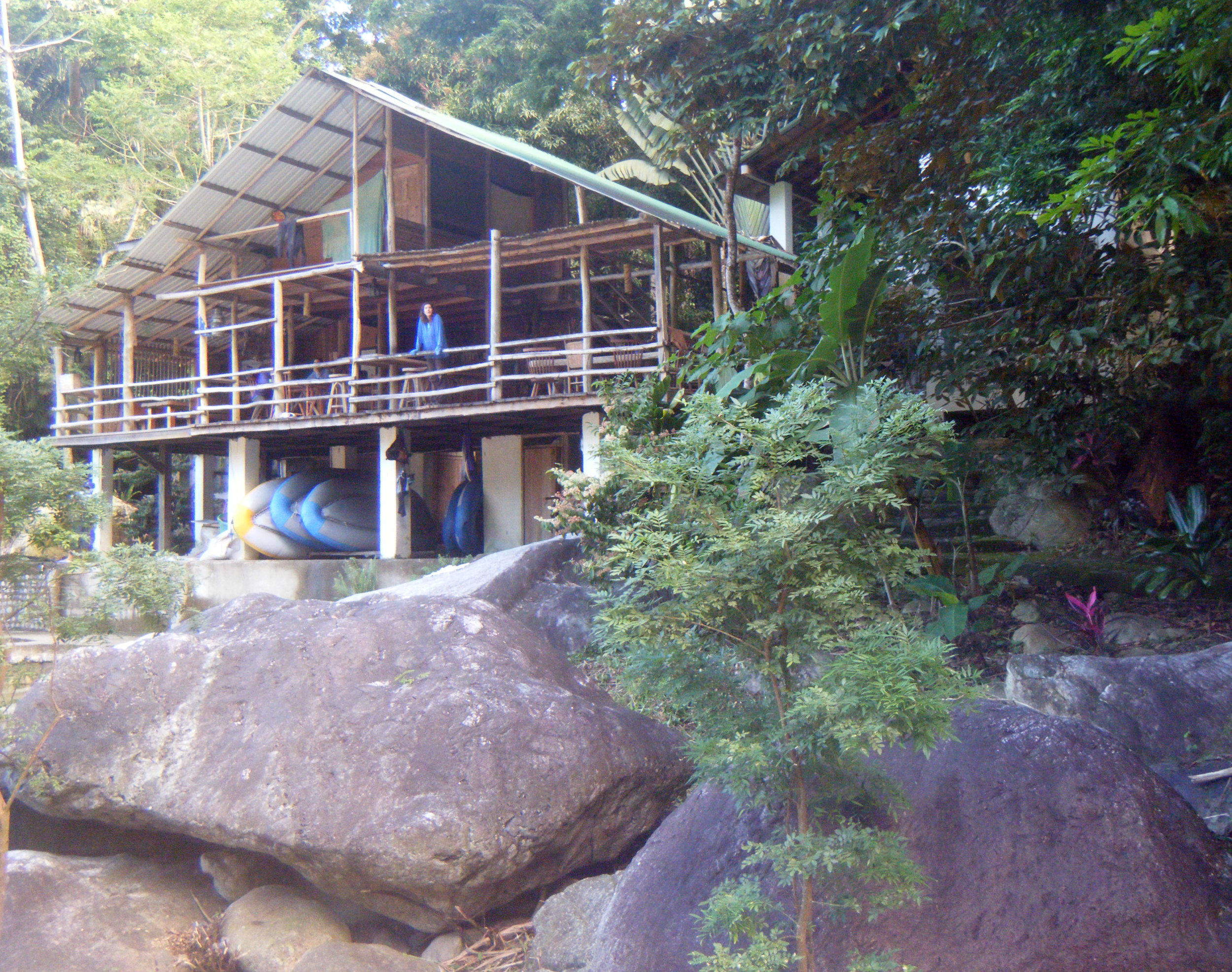 Jungle Lodge.jpg