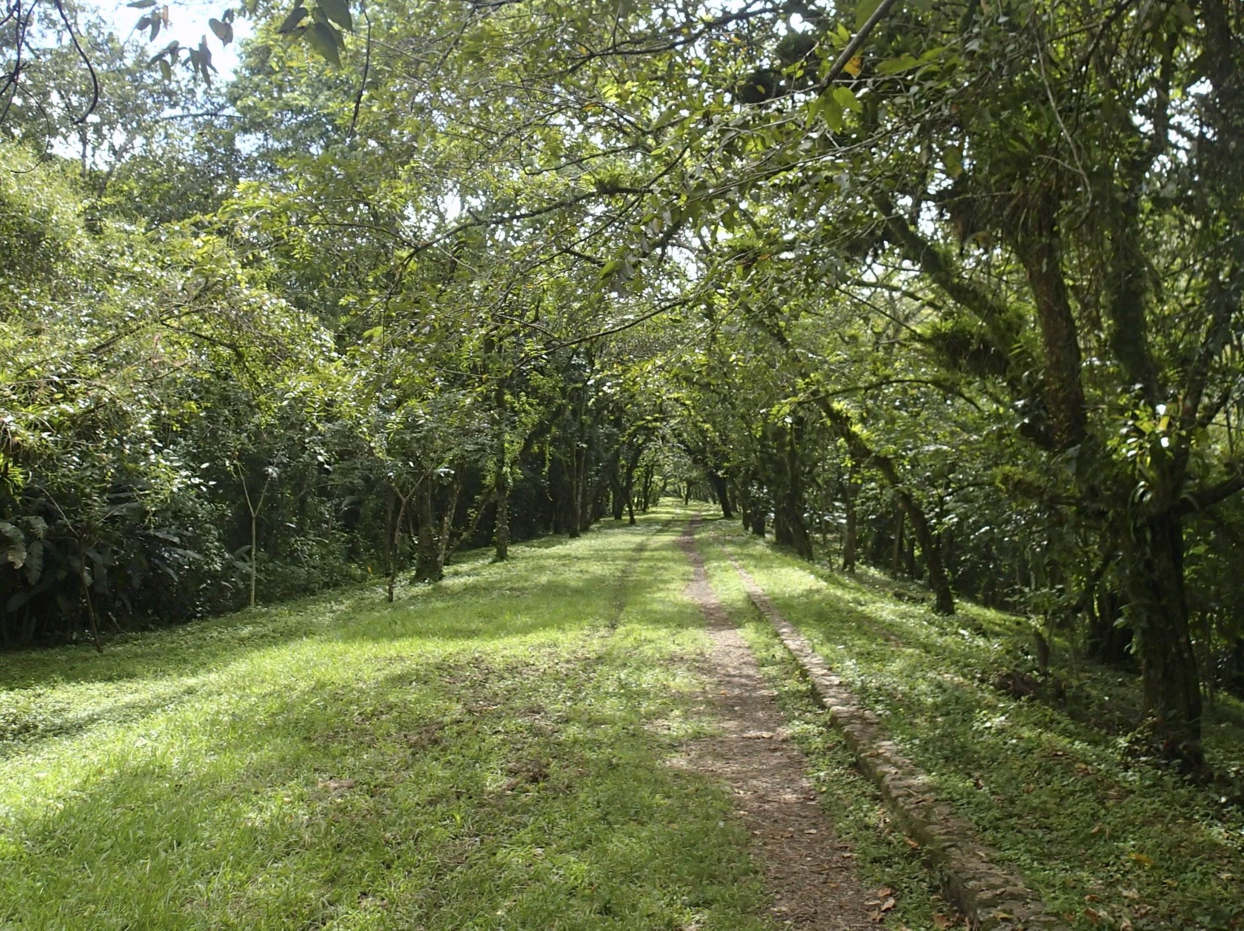 the walk to the archaeological park.jpg
