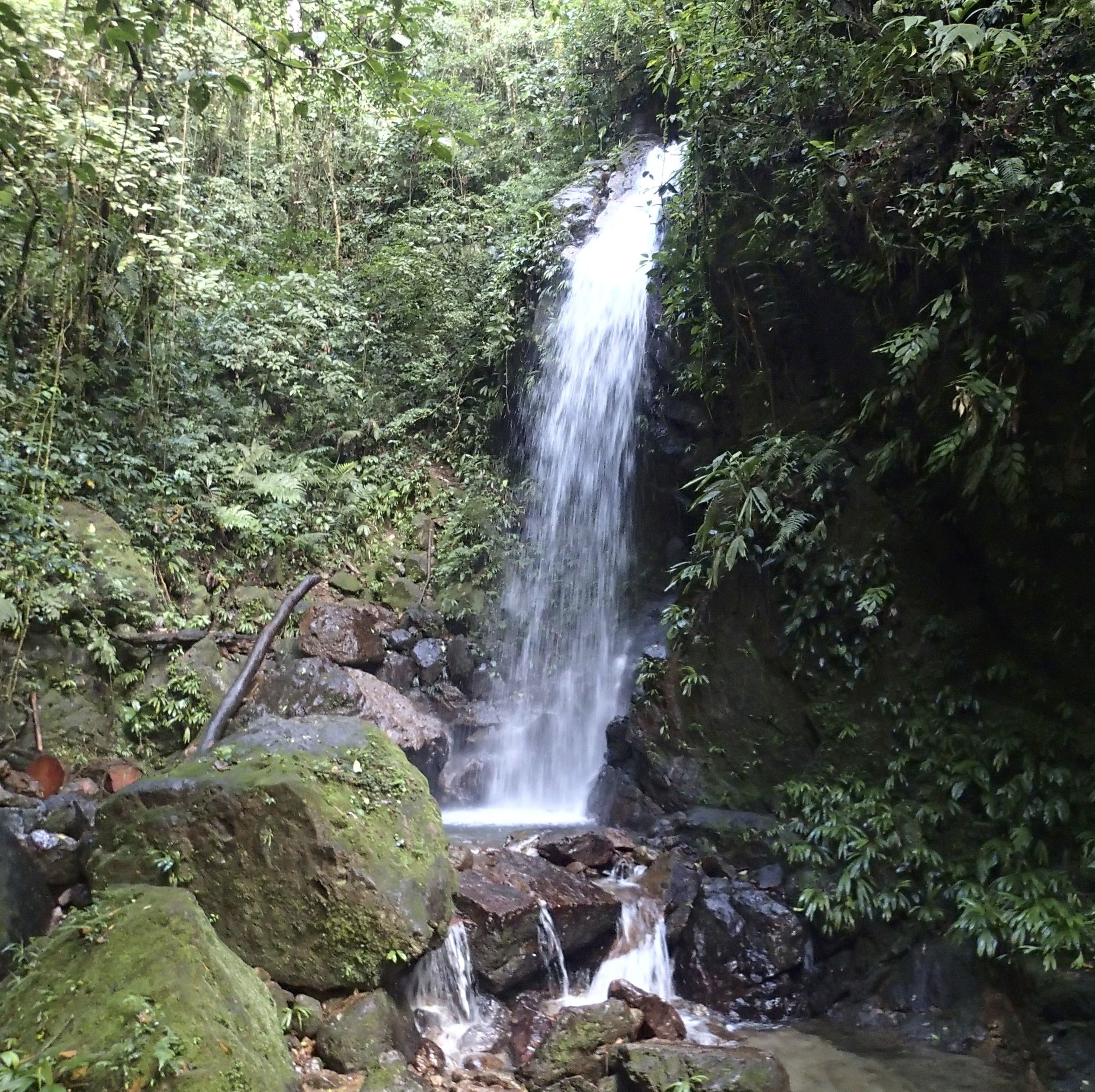 waterfall at Cerro Azul-Meambar NP.jpg