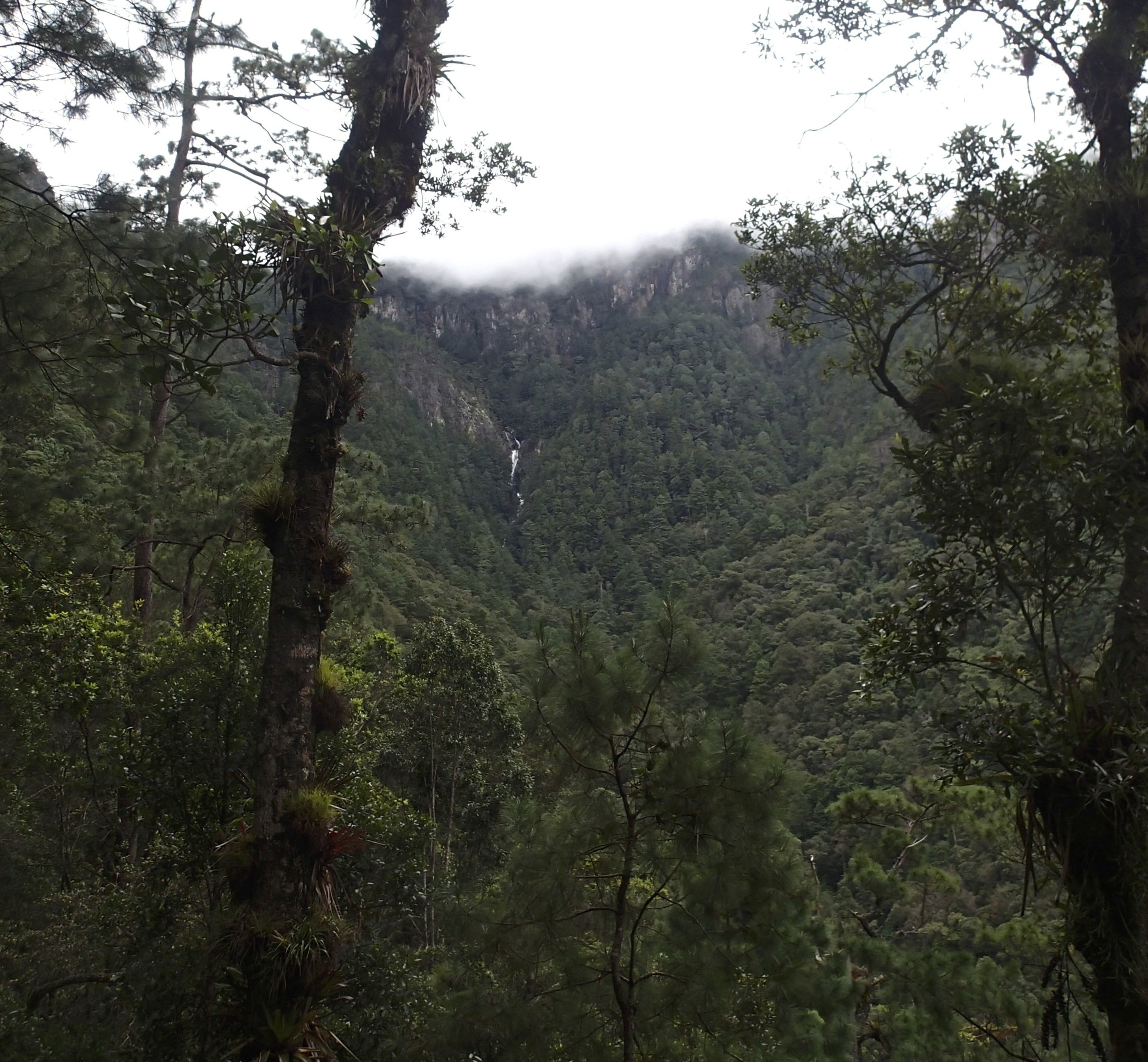 Cascada Santa Lucia.jpg