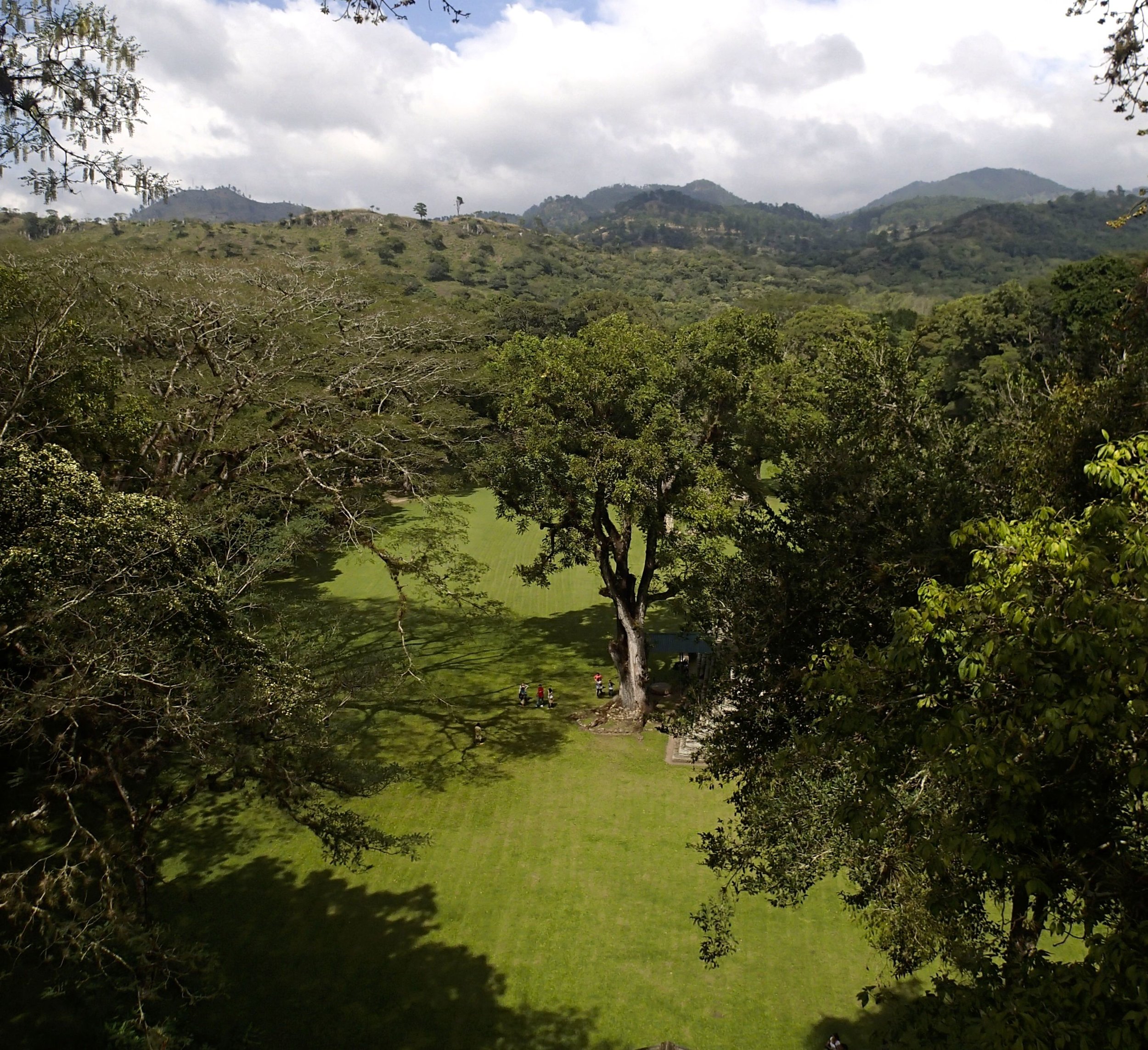 view from Copan.jpg
