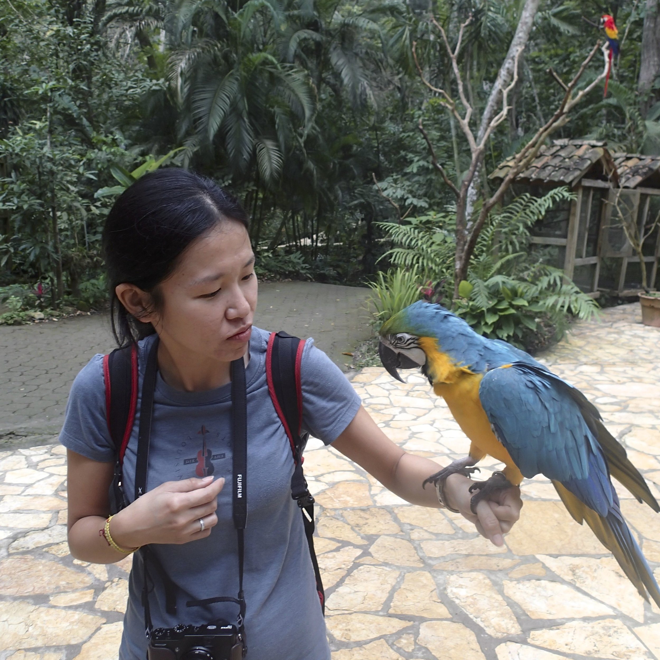 Pei-Ciao and macaw.jpg