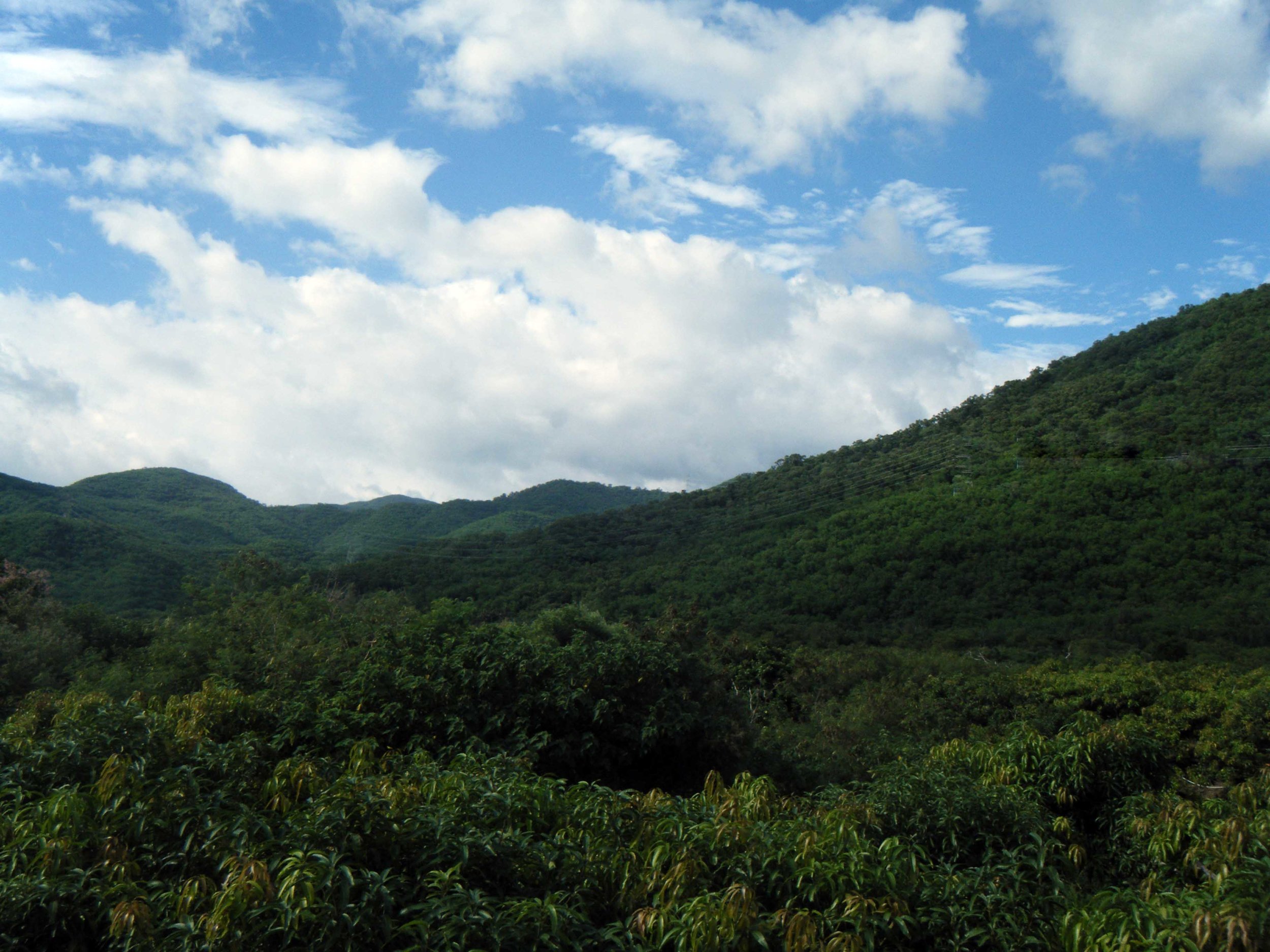 south Taiwan countryside.jpg