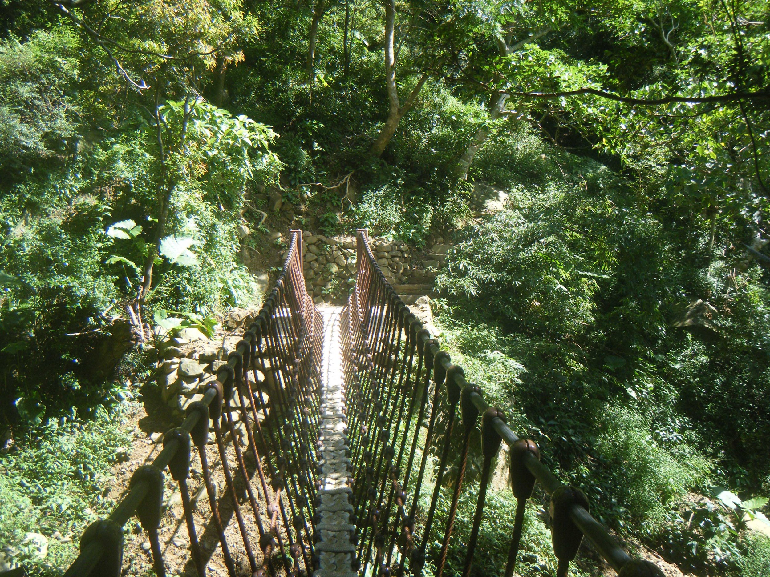 suspension bridge.jpg