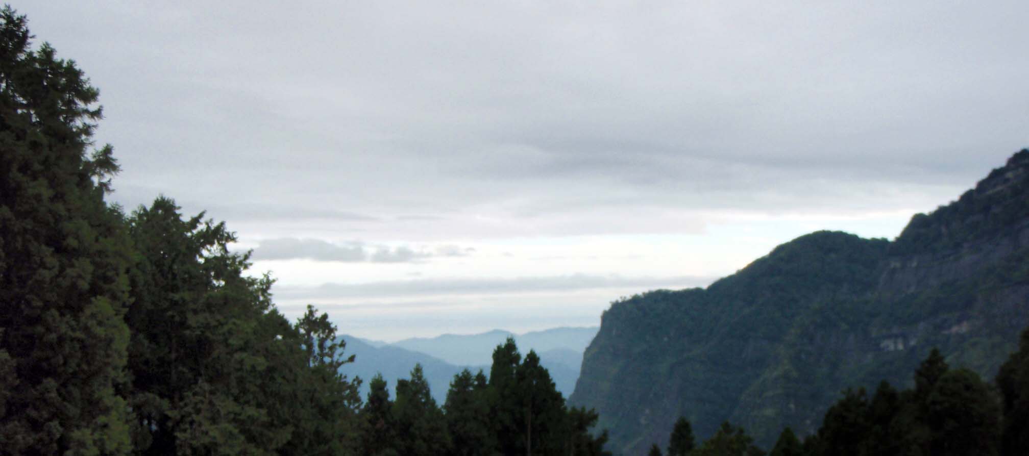 view from Alishan town.jpg
