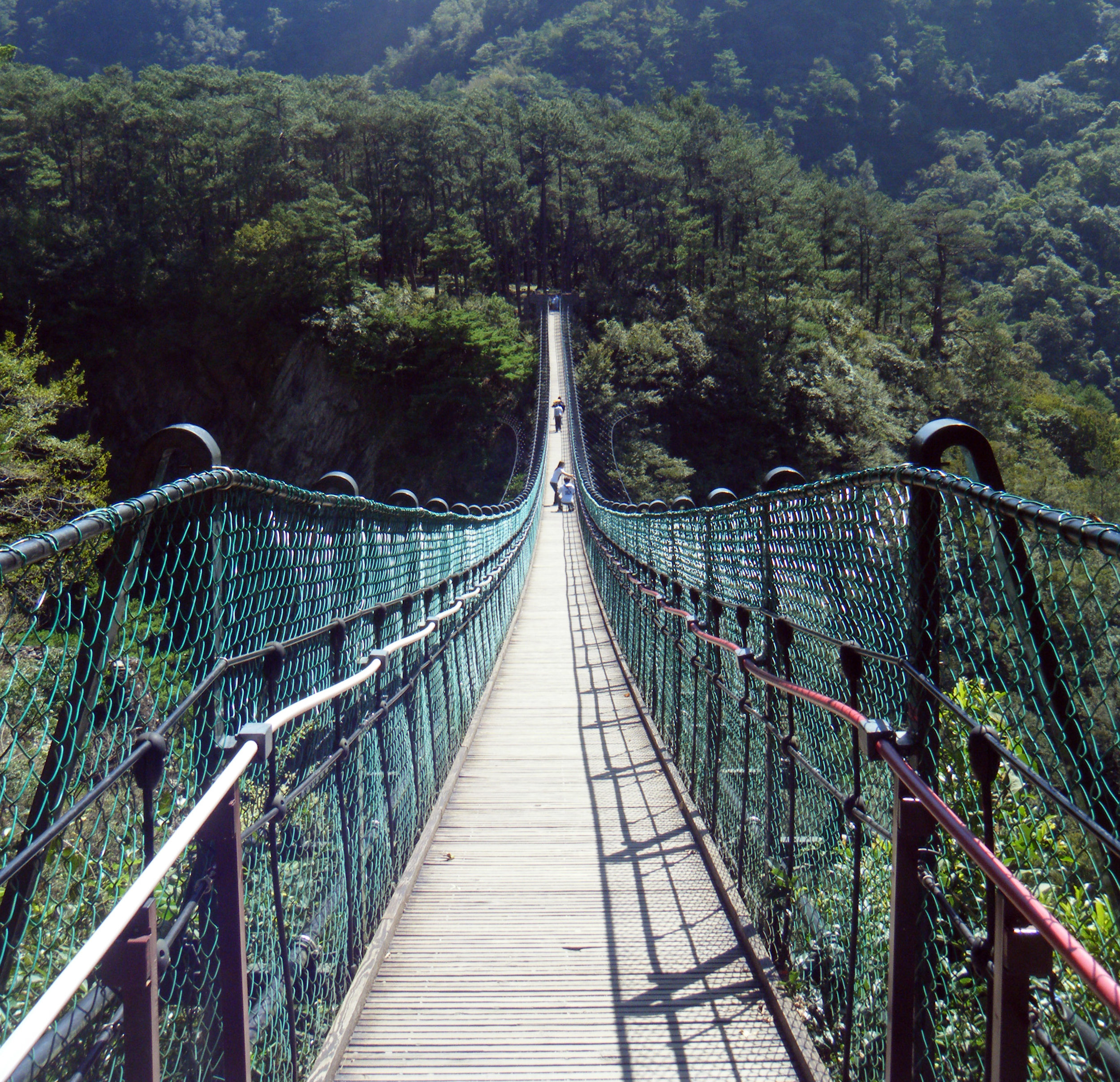 suspension bridge.jpg