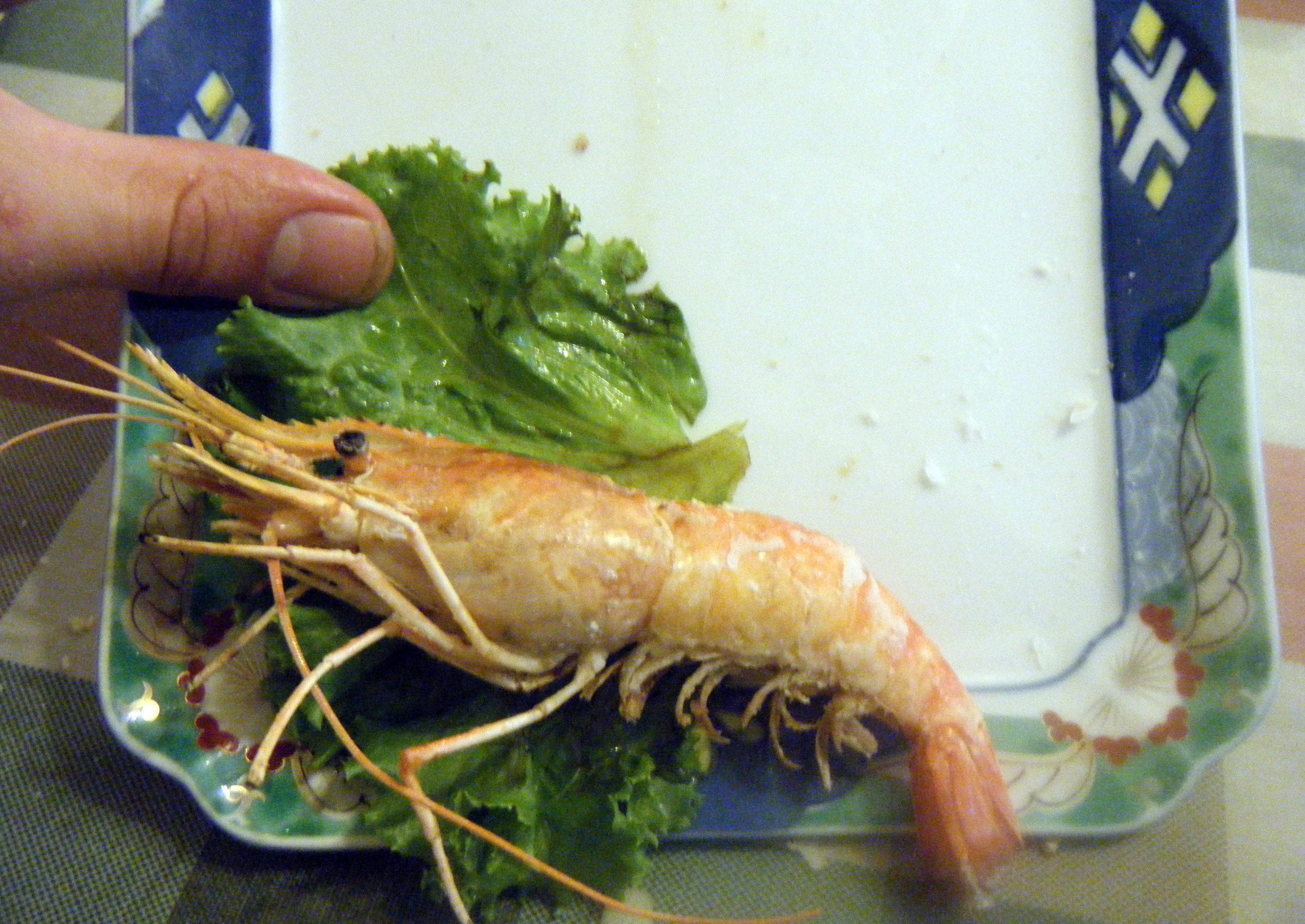 giant saltwater prawn.jpg