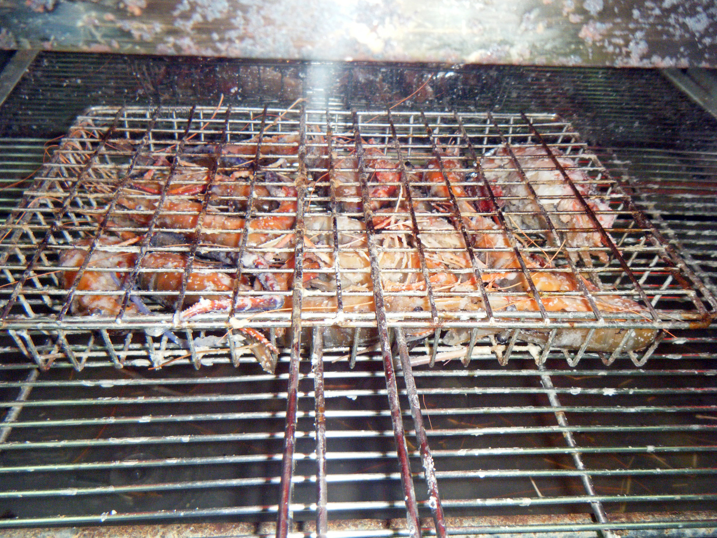 shrimping in Beidou.jpg