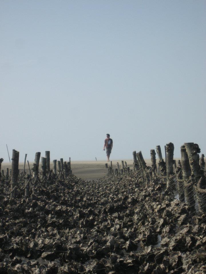 big bear at WangGong.jpg