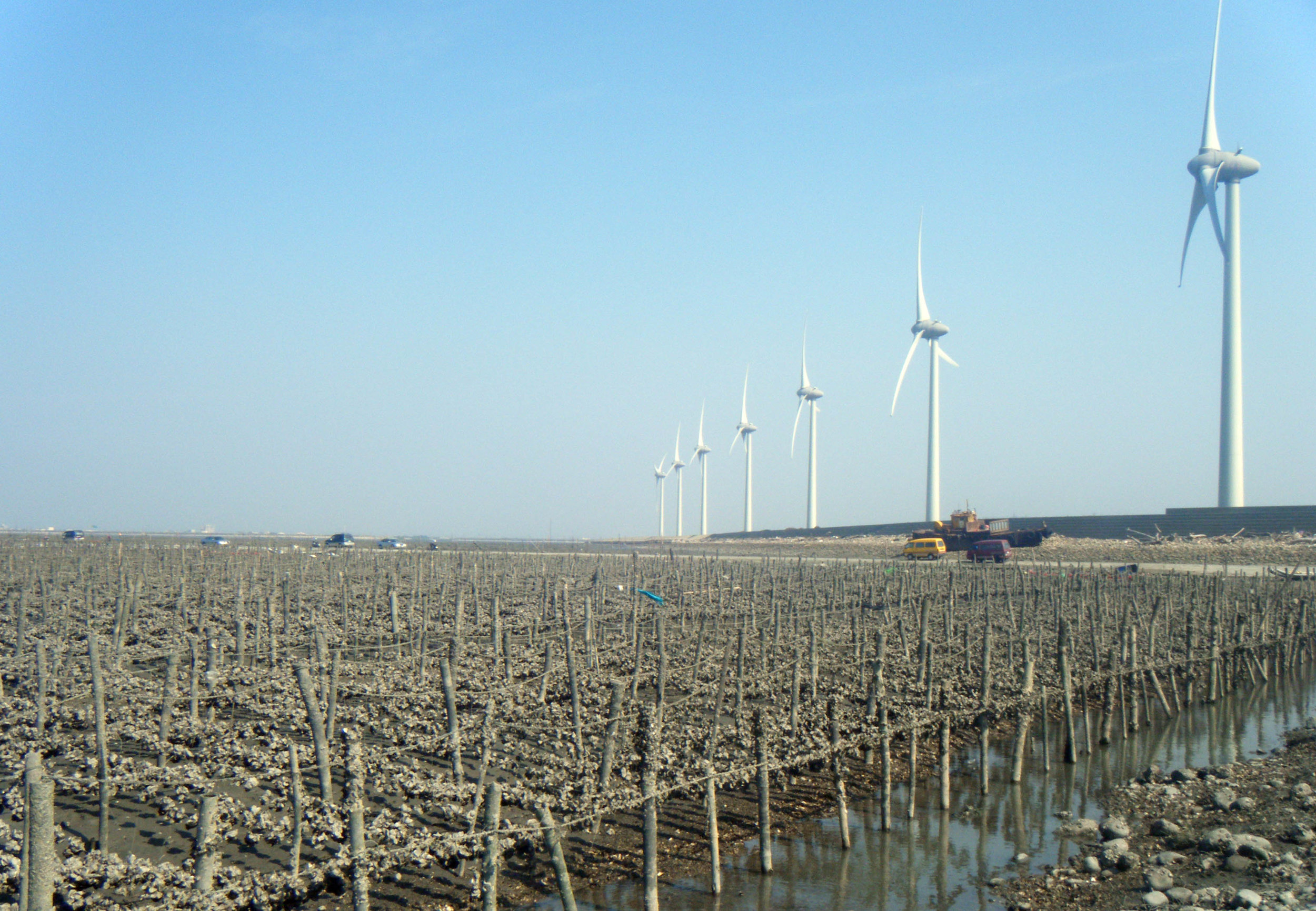 oyster culture and wind farm.jpg