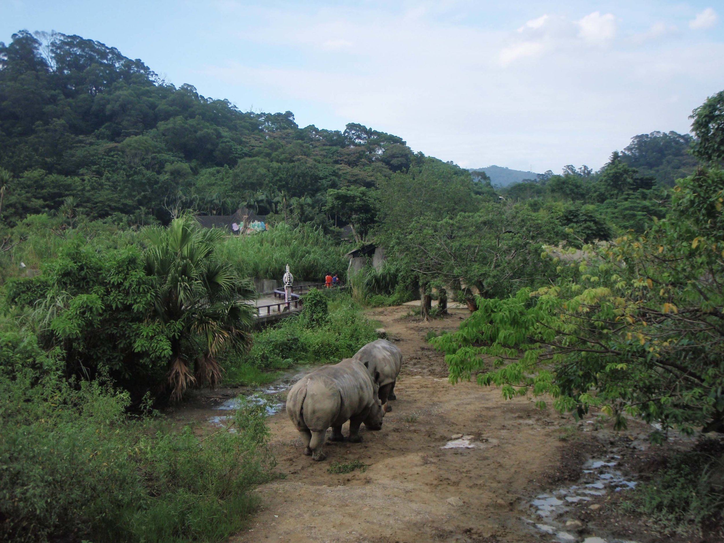 Africa in Taipei.jpg