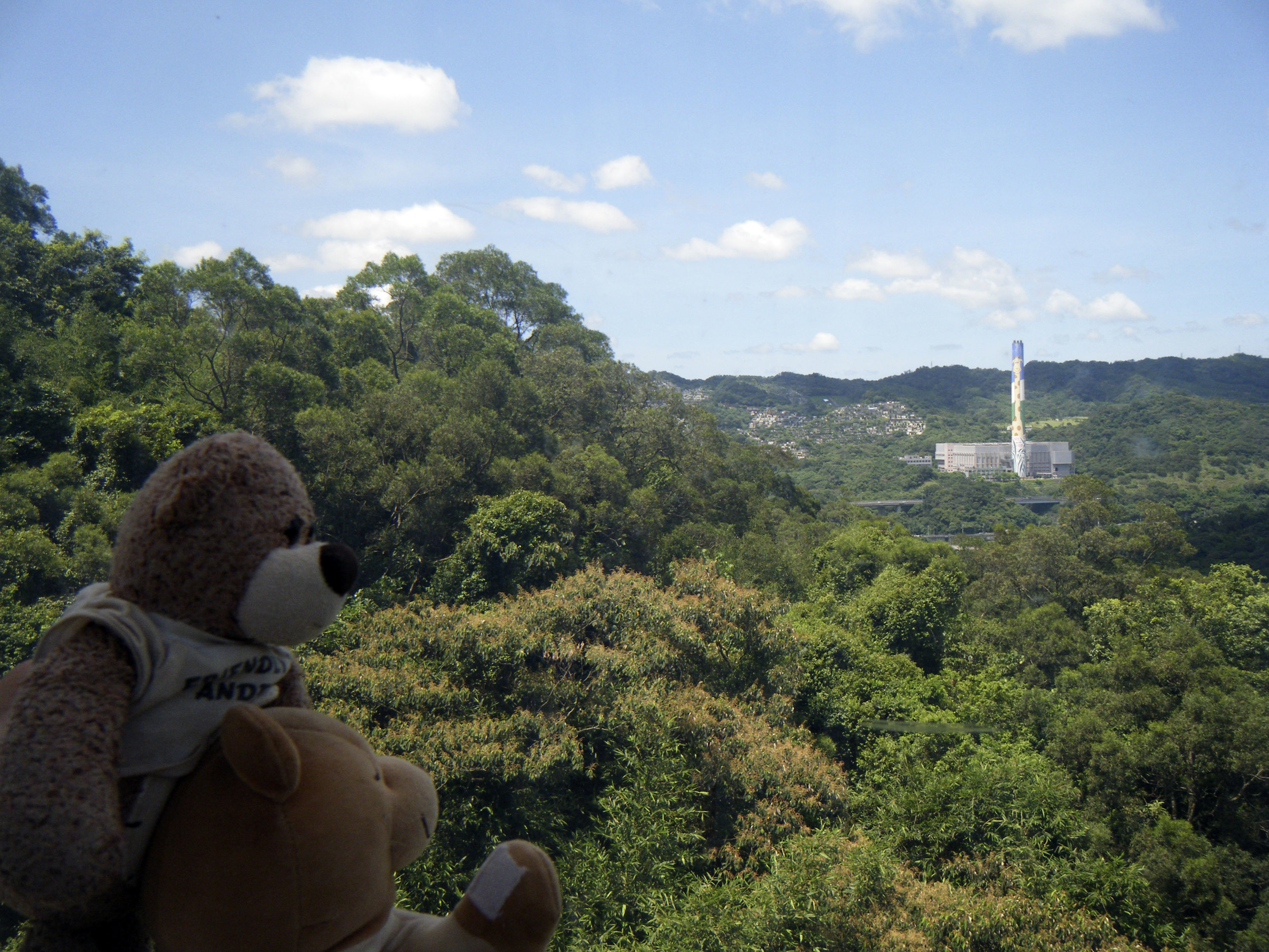 bearbies on the gondola.jpg