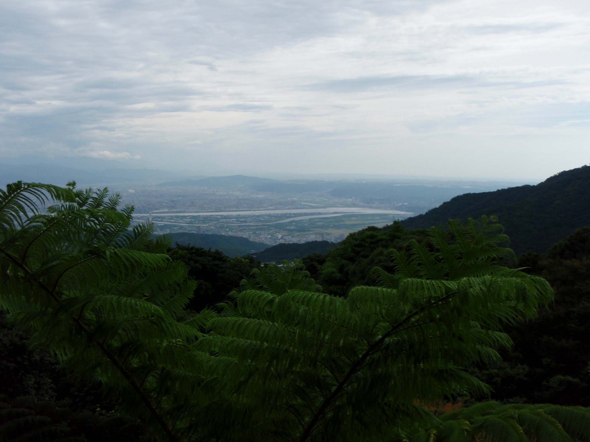 Yangmingshan vista.jpg