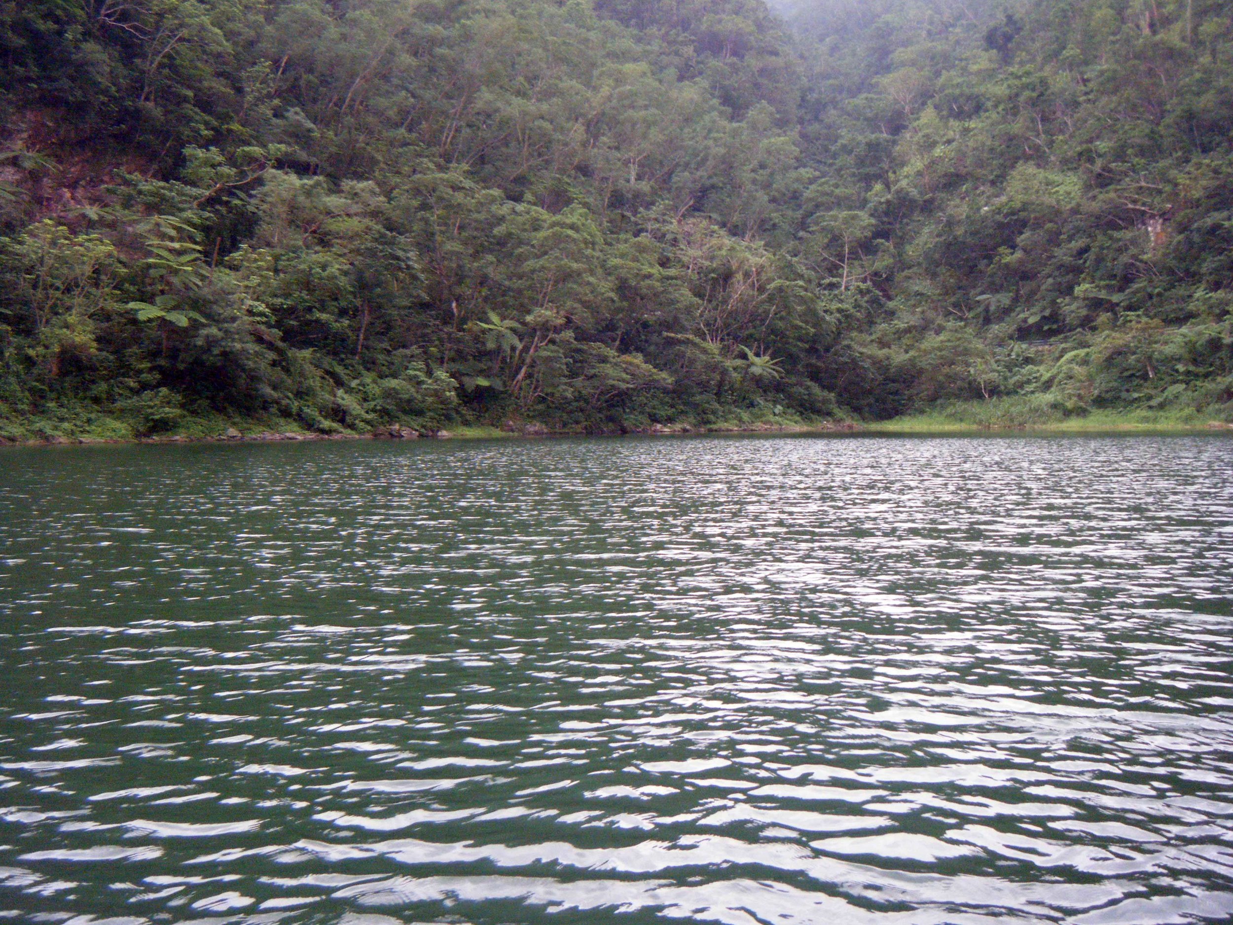 view from the paddle boat.jpg