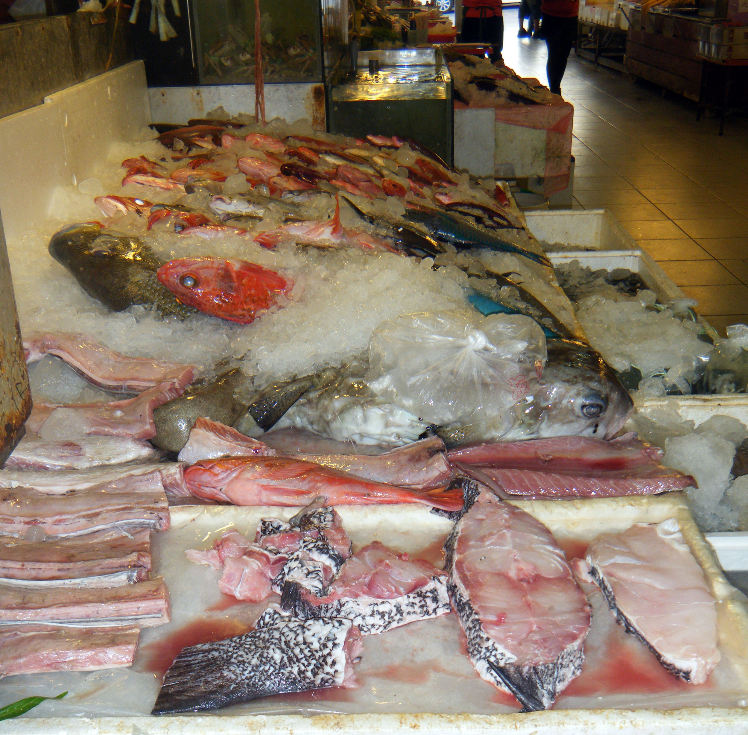 plethora of seafood.jpg