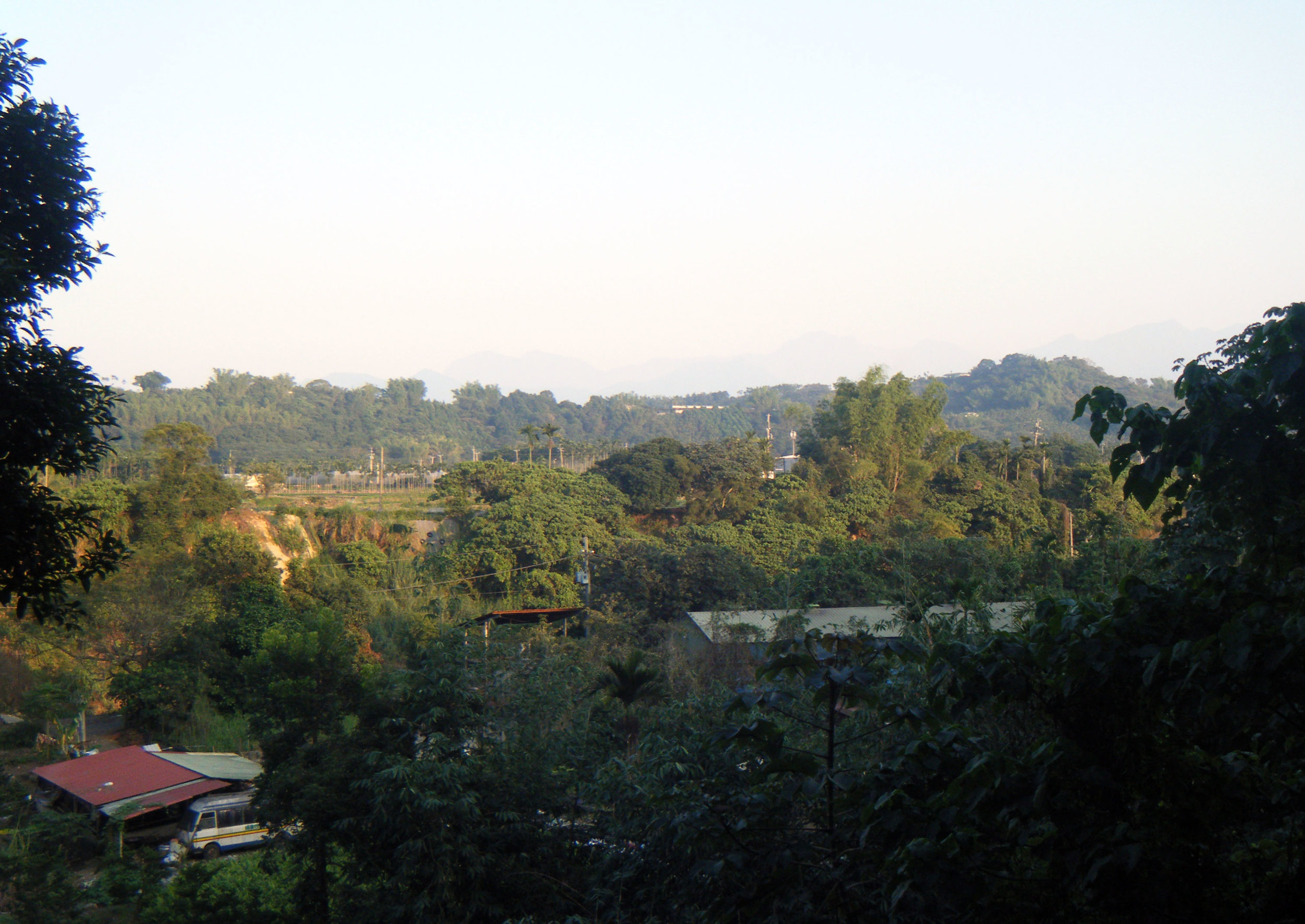 view from Tai Da forest.jpg