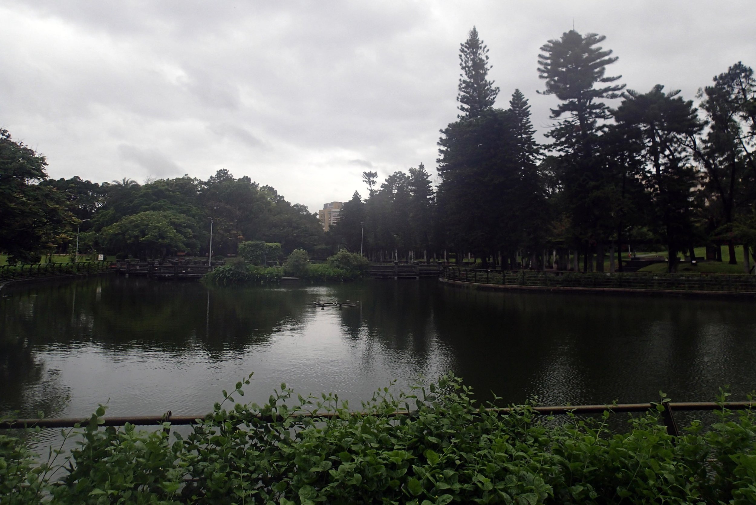 Youth Park Taipei.jpg