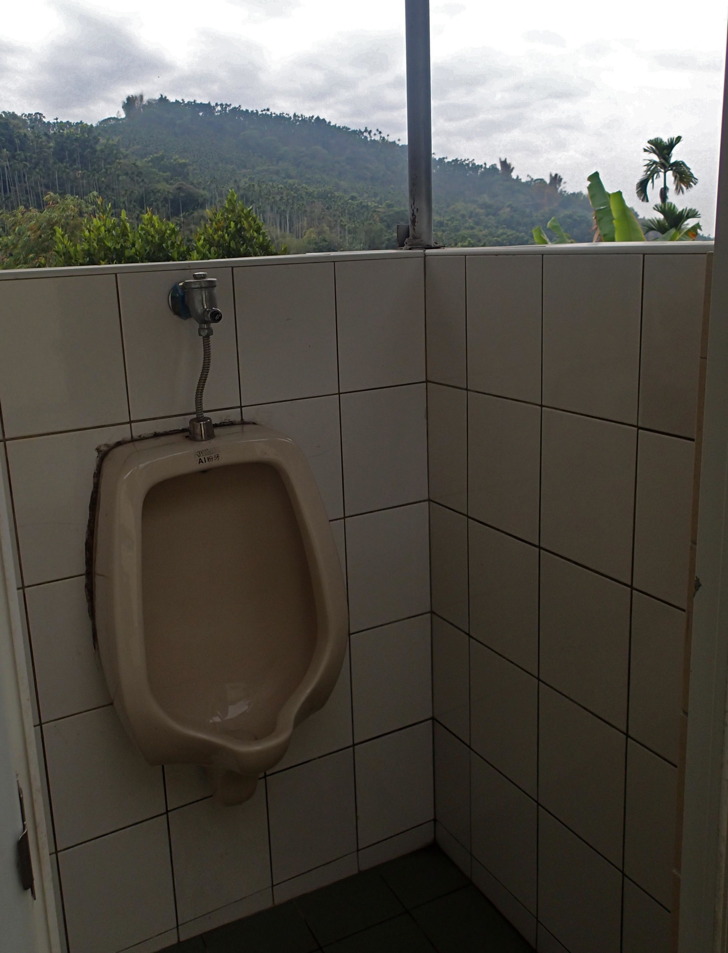 urinal with a view.jpg