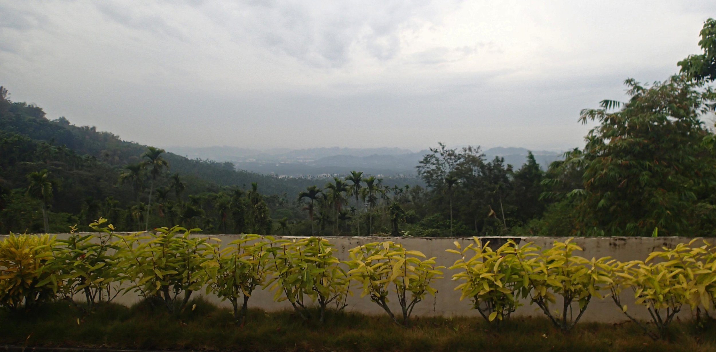 view from the Buddhist temple Chiayi.jpg
