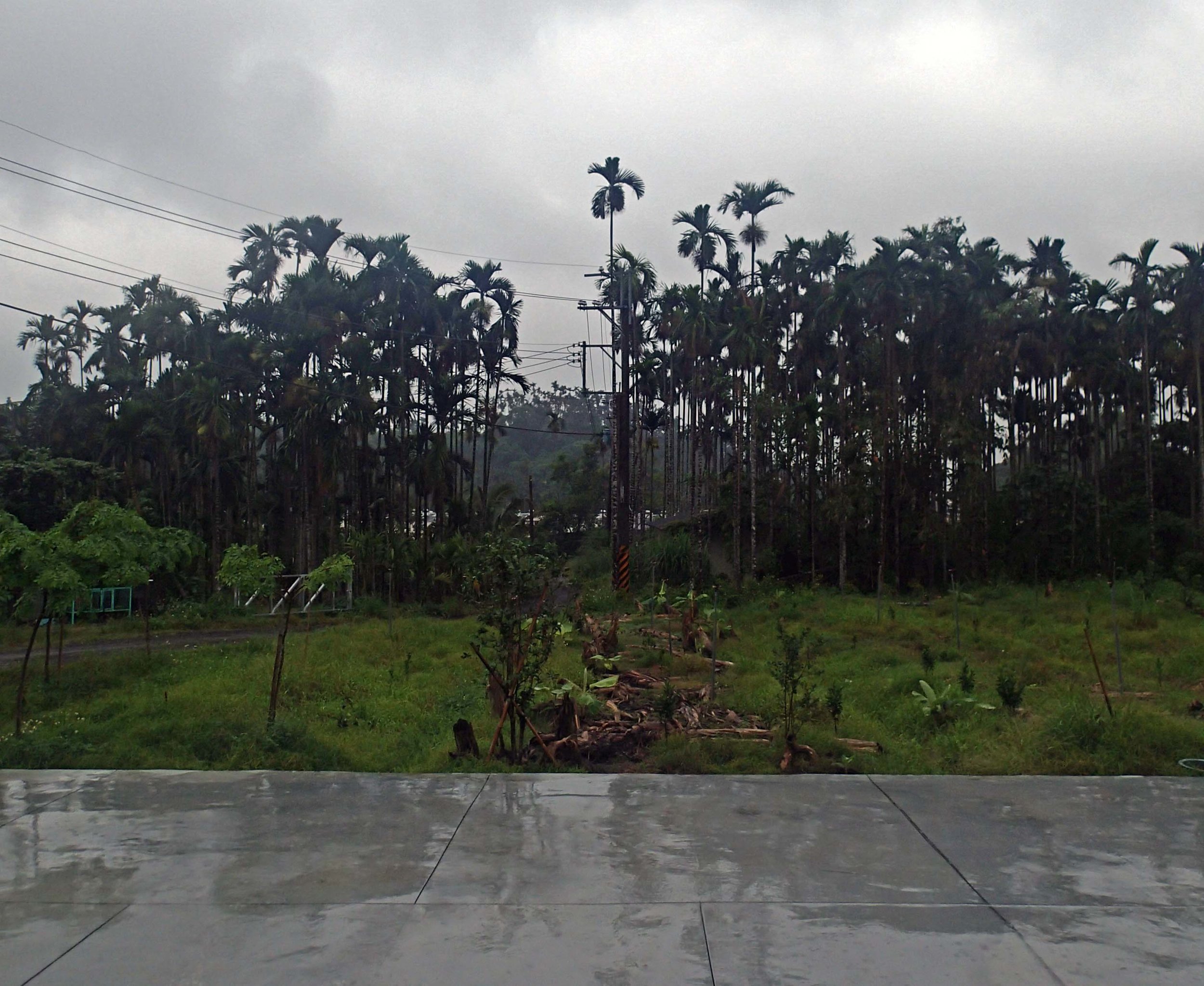 pre-typhoon rains.jpg