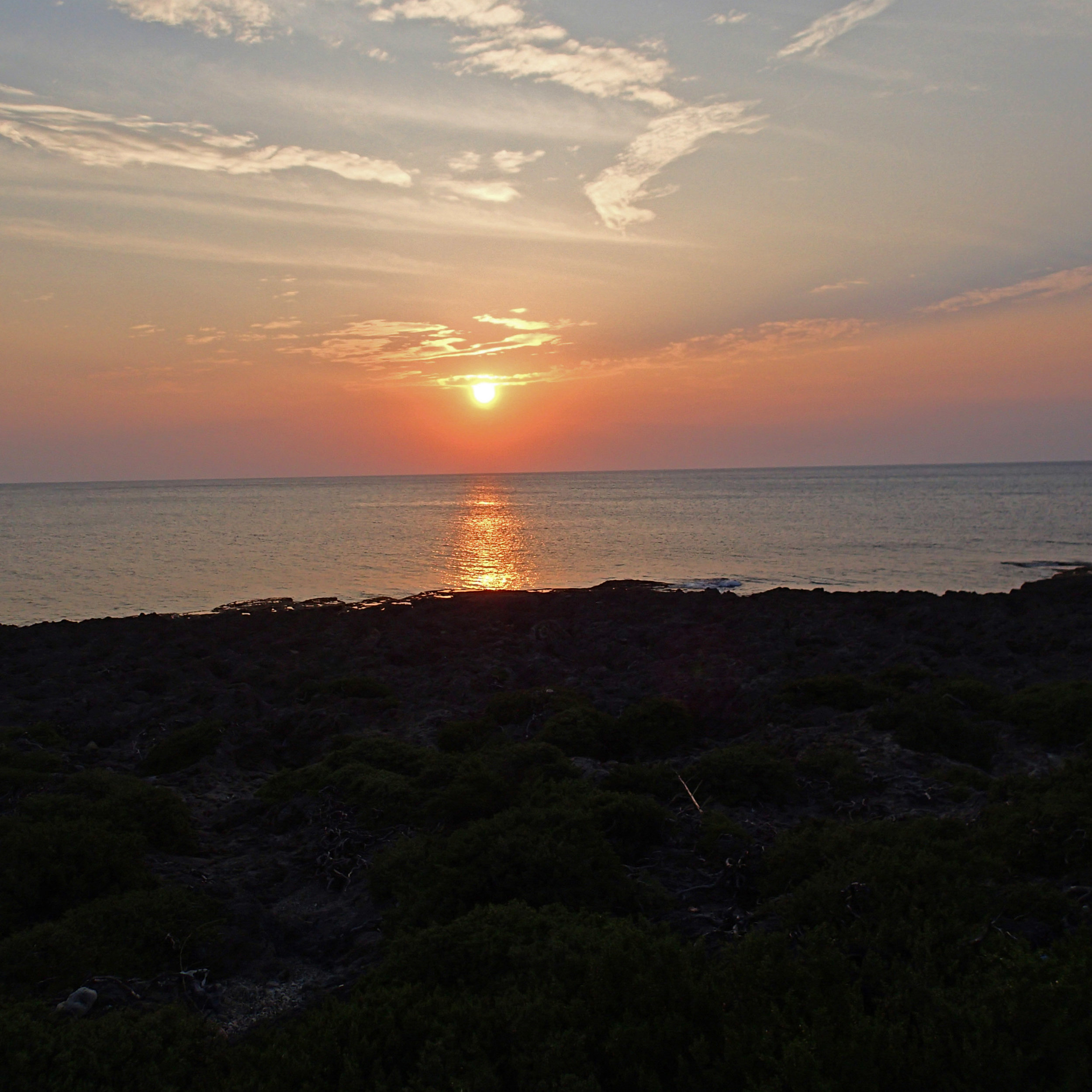 wetland sunset.jpg