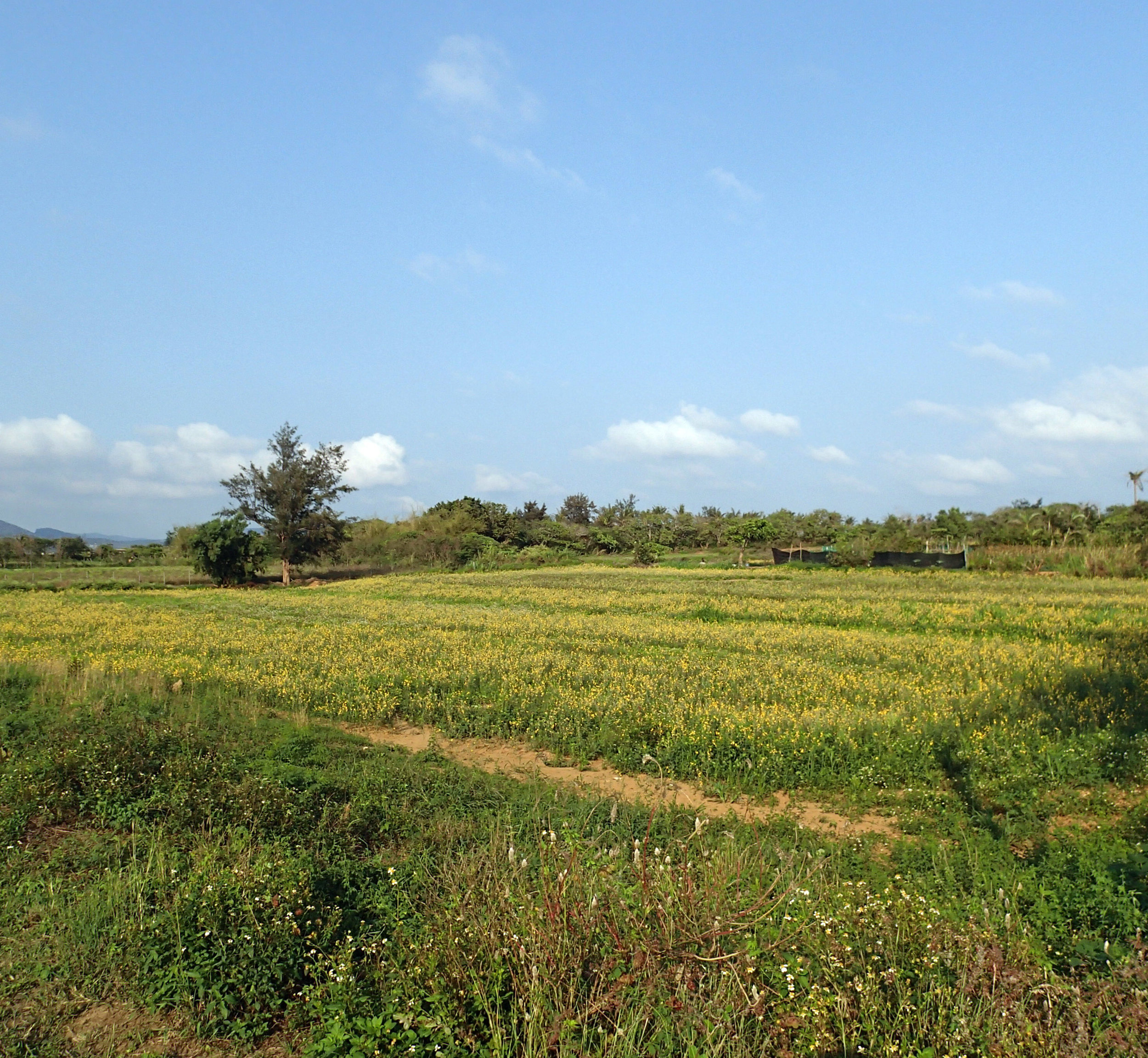 near Daguang.jpg