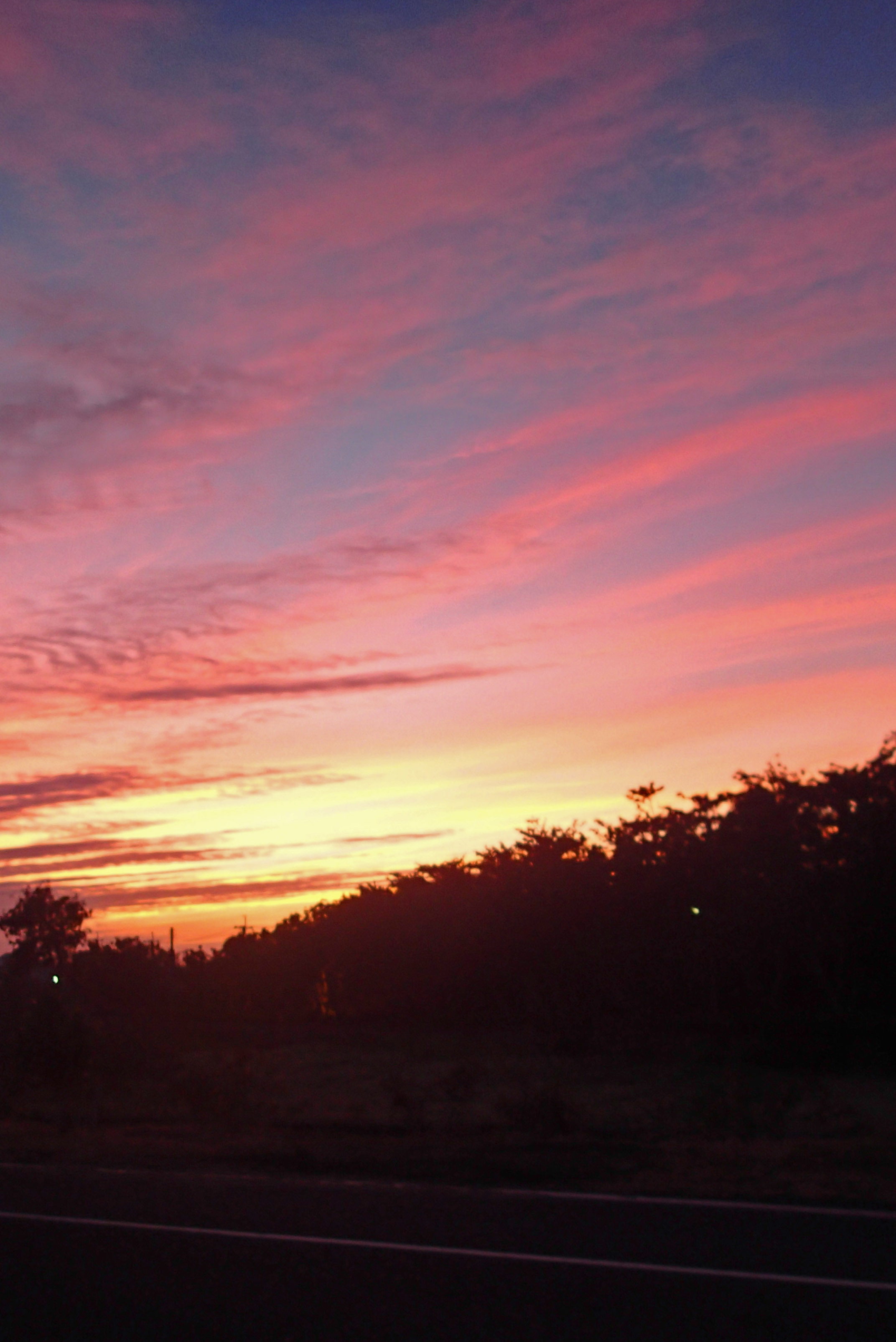 sunset bike ride.jpg