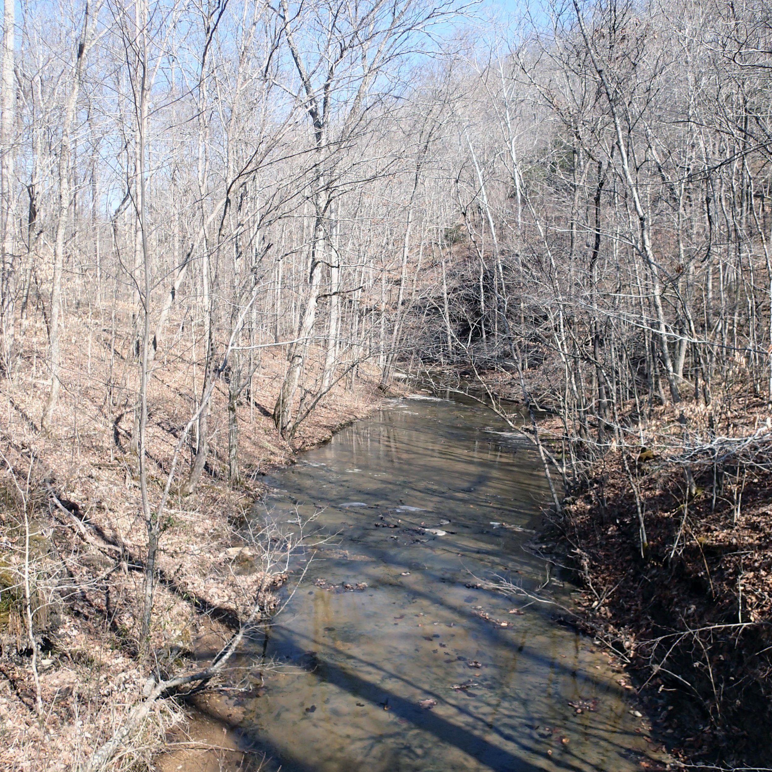 Beaman Park 3-26-14.jpg