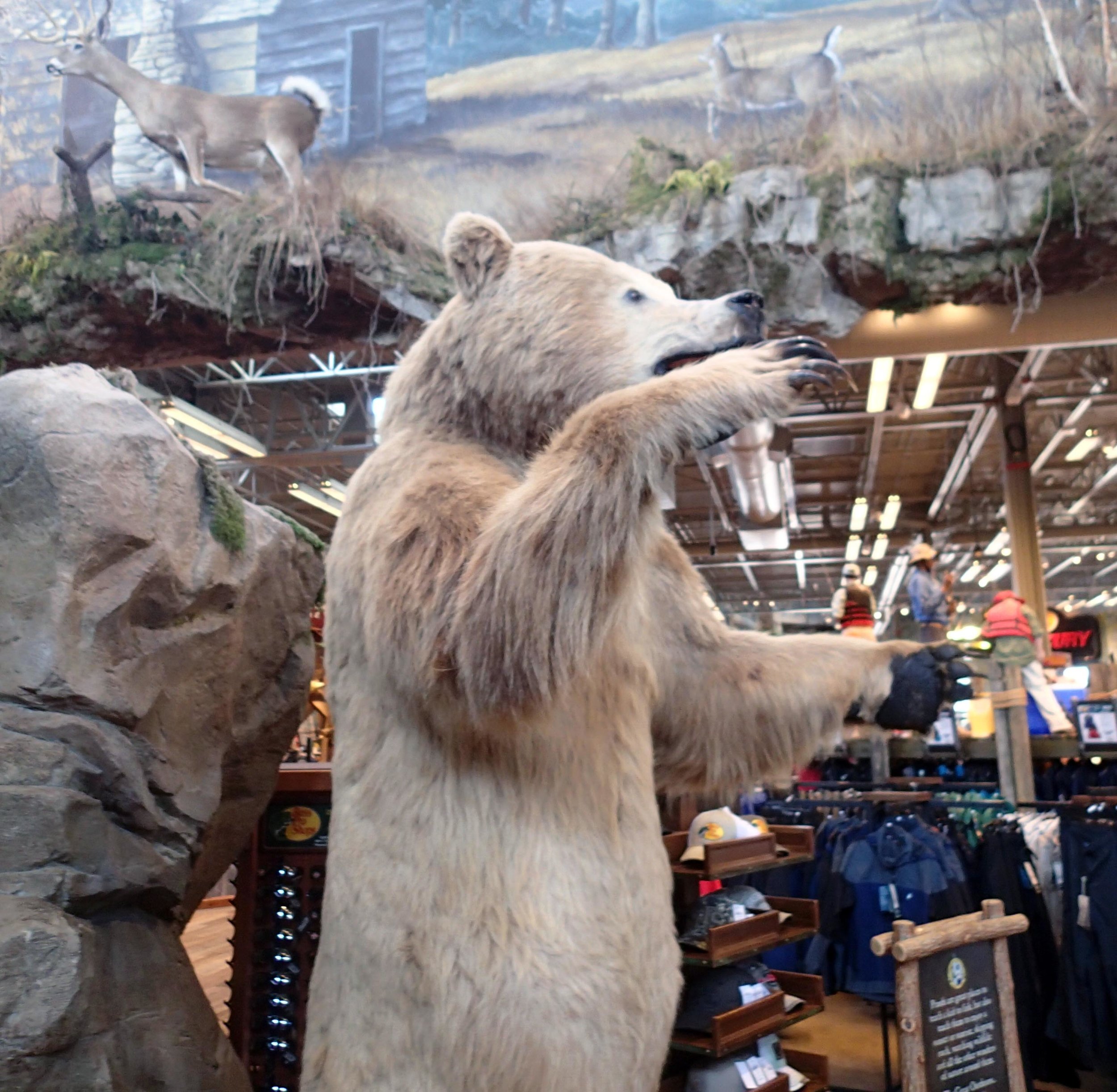 Grizzley at Bass Pro.jpg