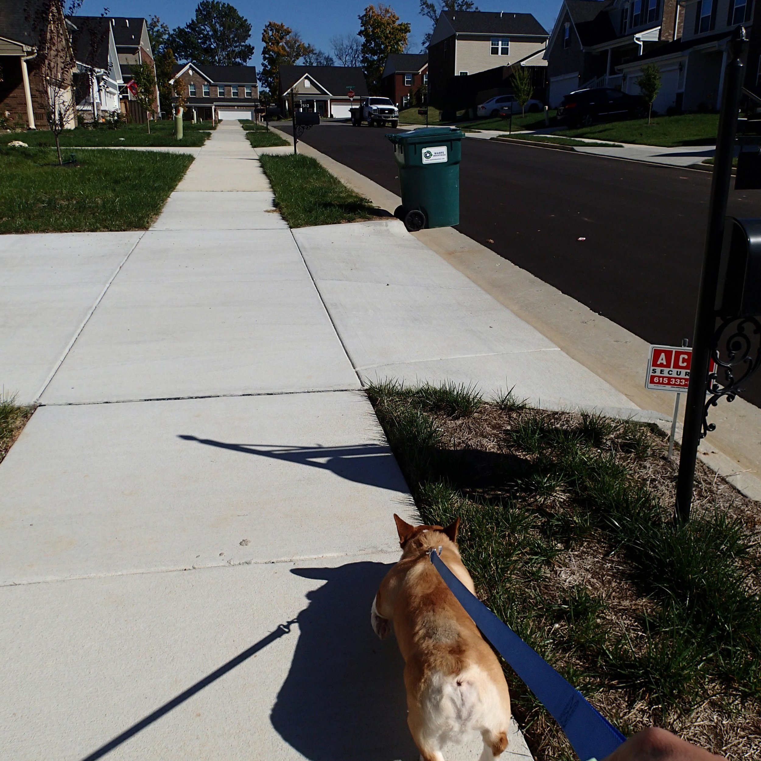 walking Bowser.jpg