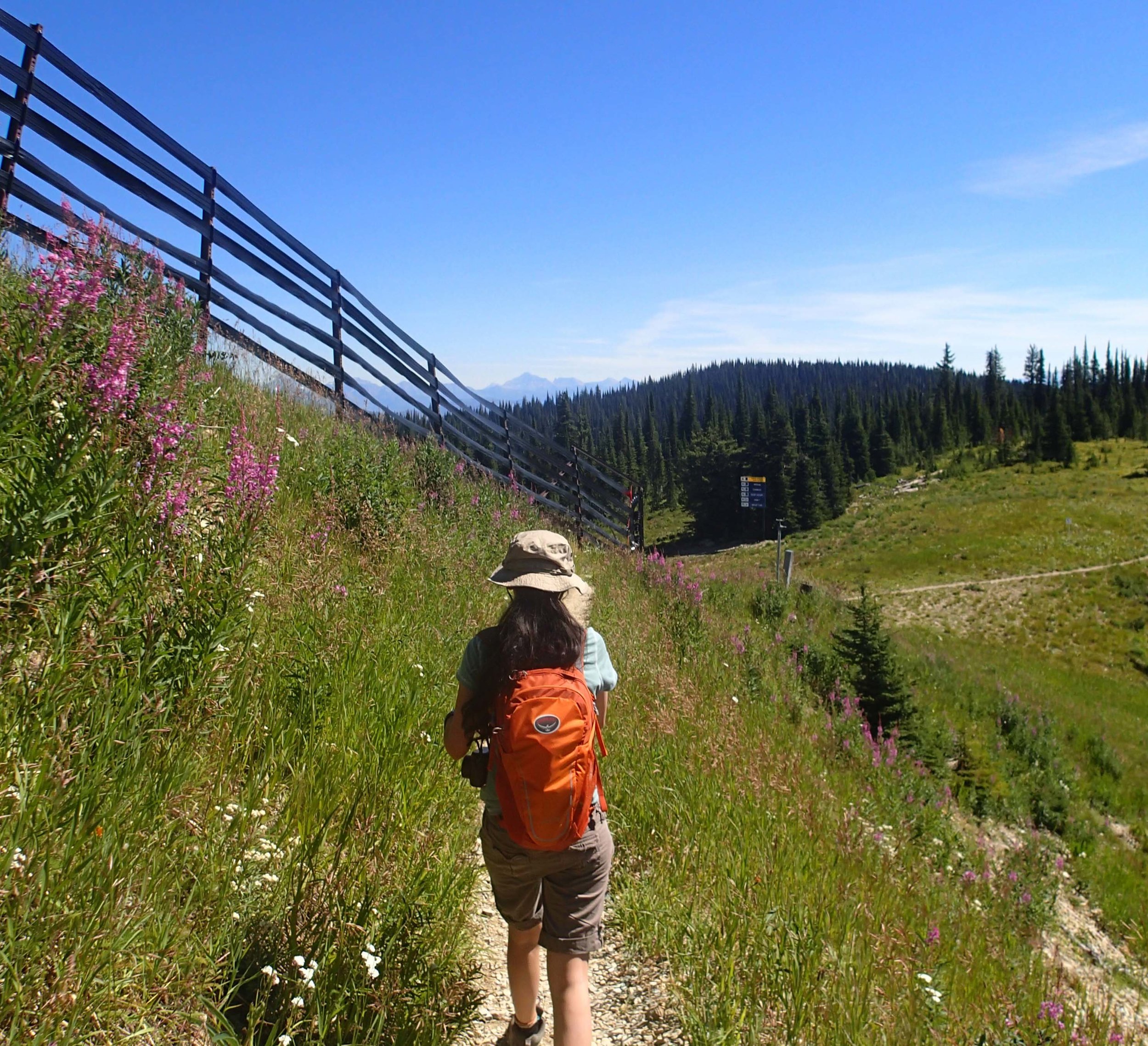 first MT hike.jpg