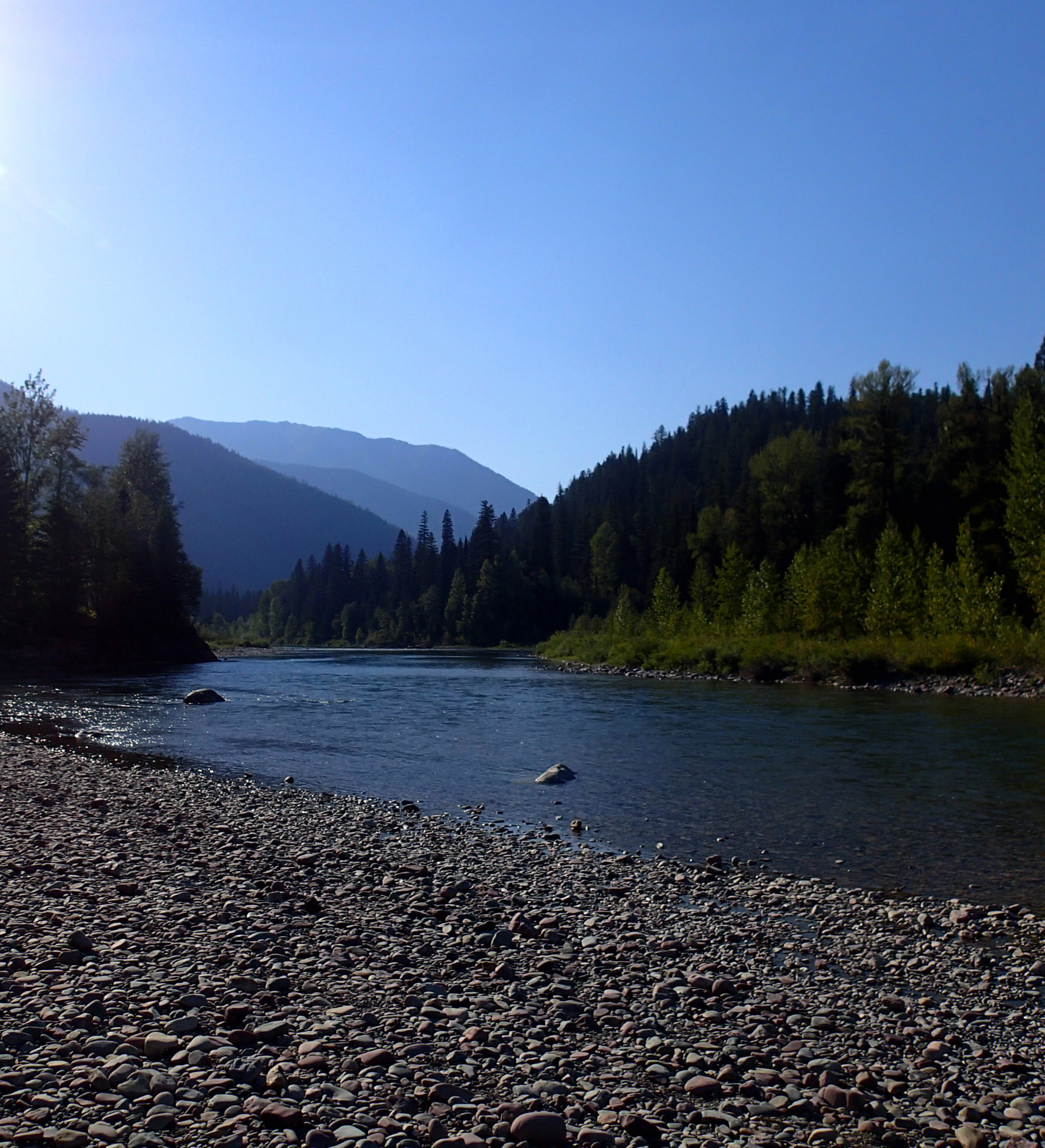 great Flathead shot.jpg