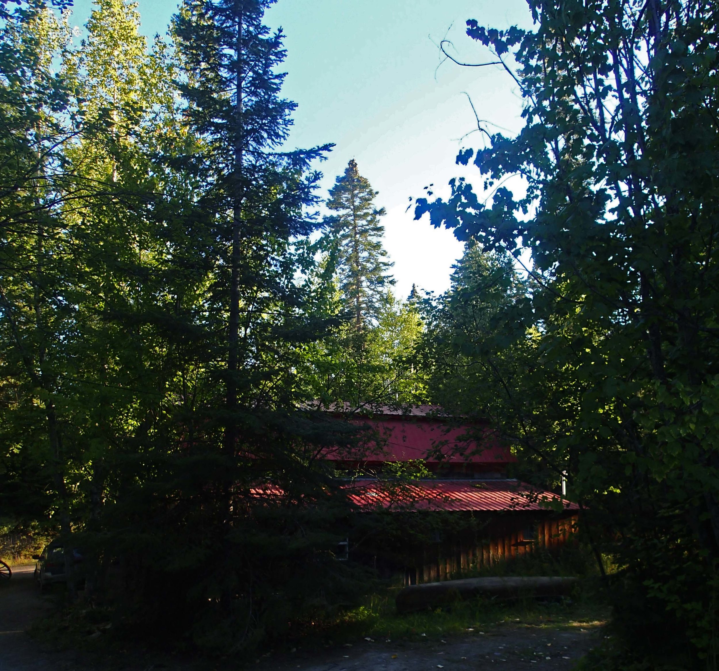 Jim's cabin.jpg