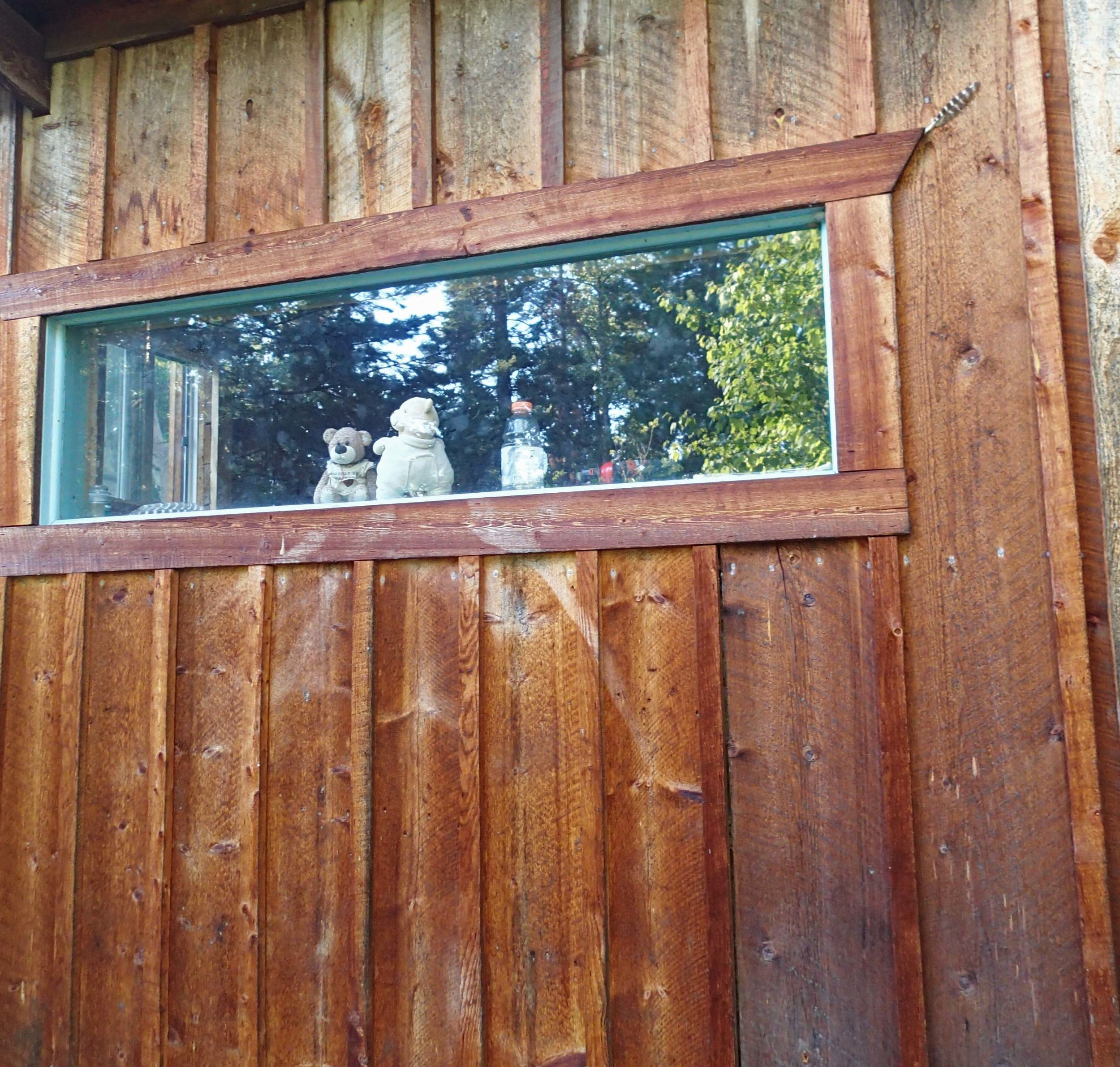 bearbies in the Big Fork cabin.jpg