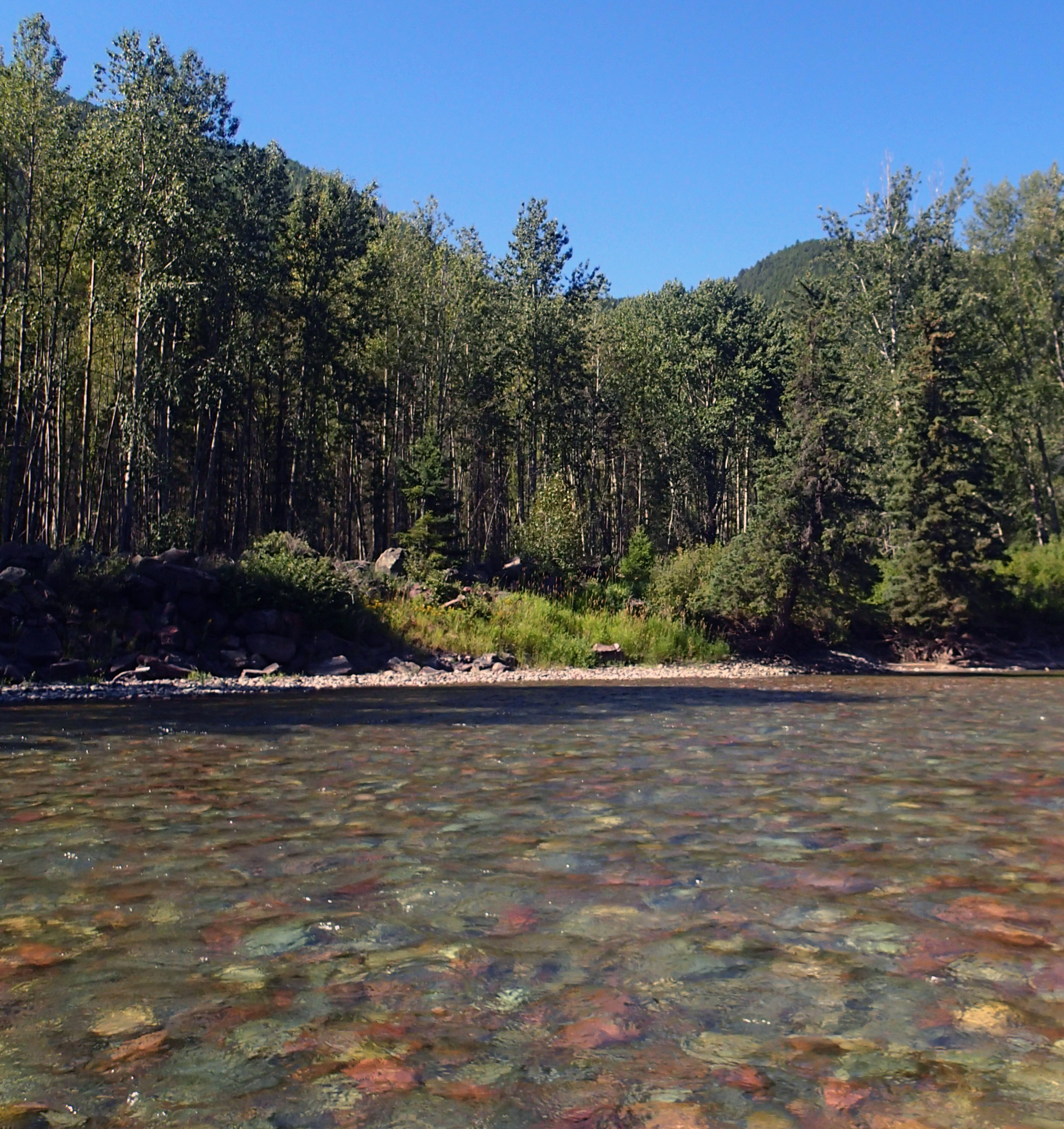 crystal clear waters.jpg