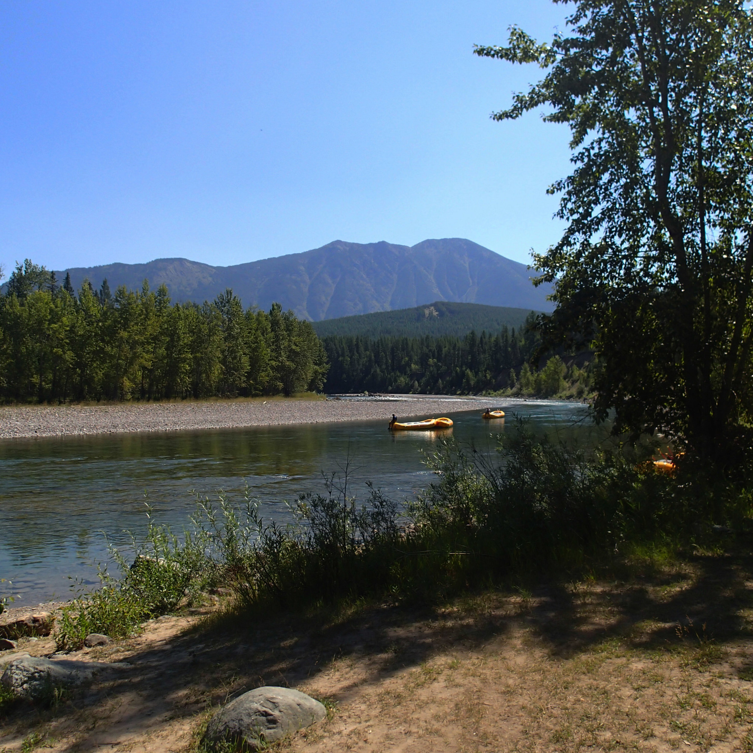 Flathead River near West Glacier.jpg