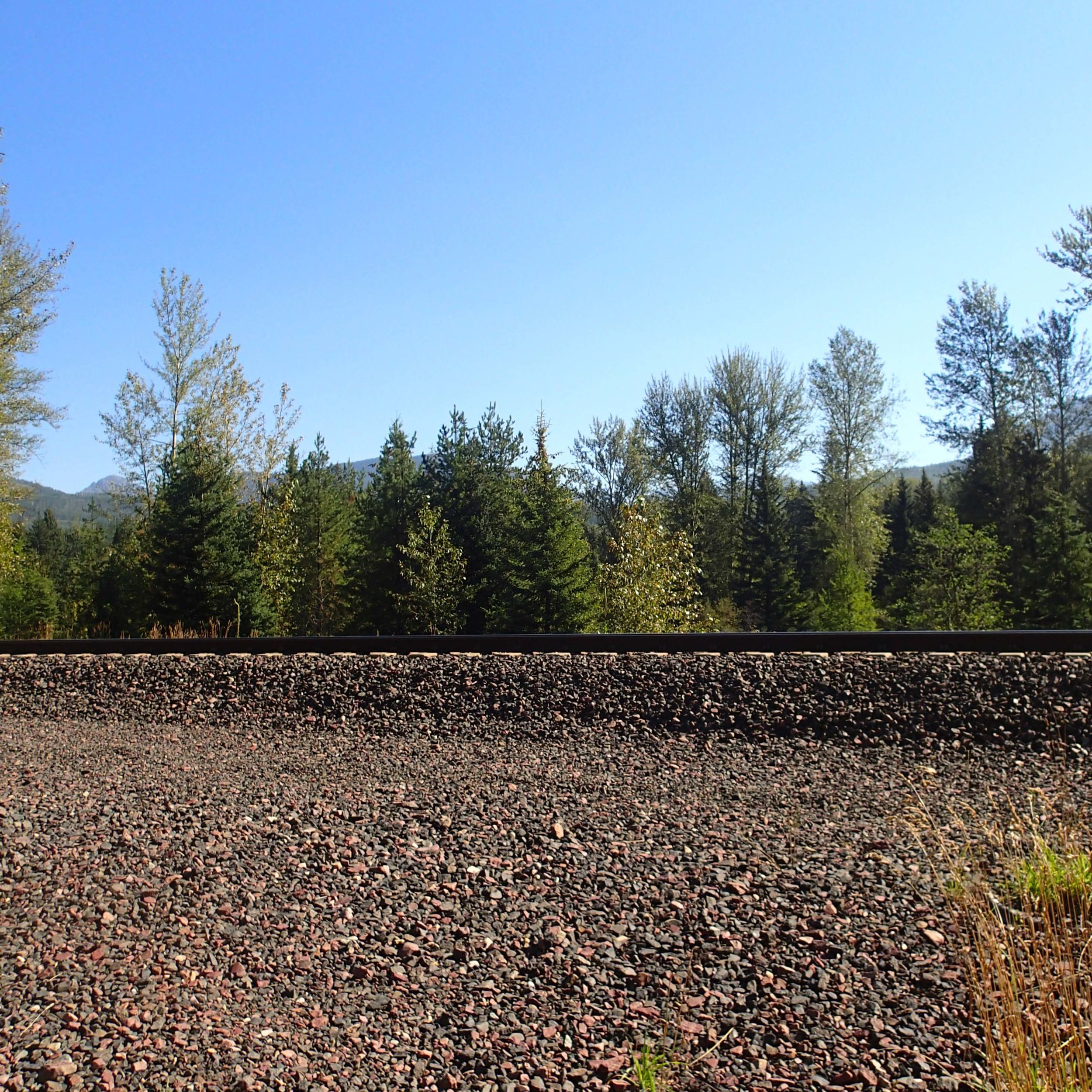 lonely train tracks near West Glacier.jpg
