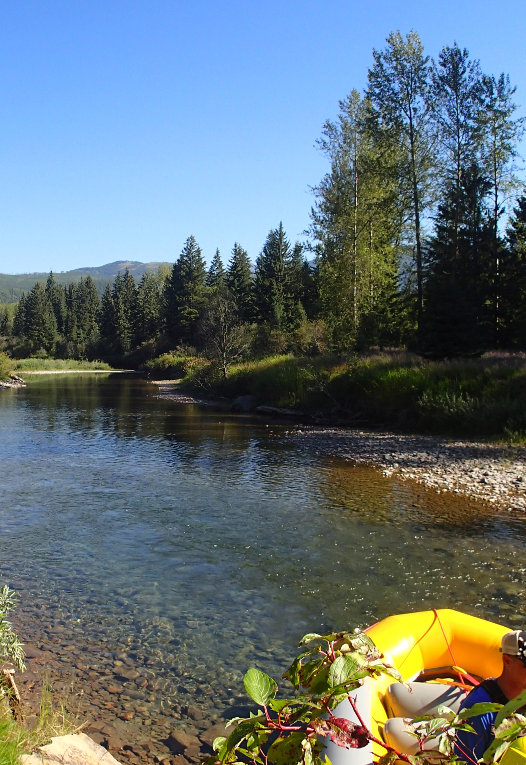 middle fork of the Flathead.jpg
